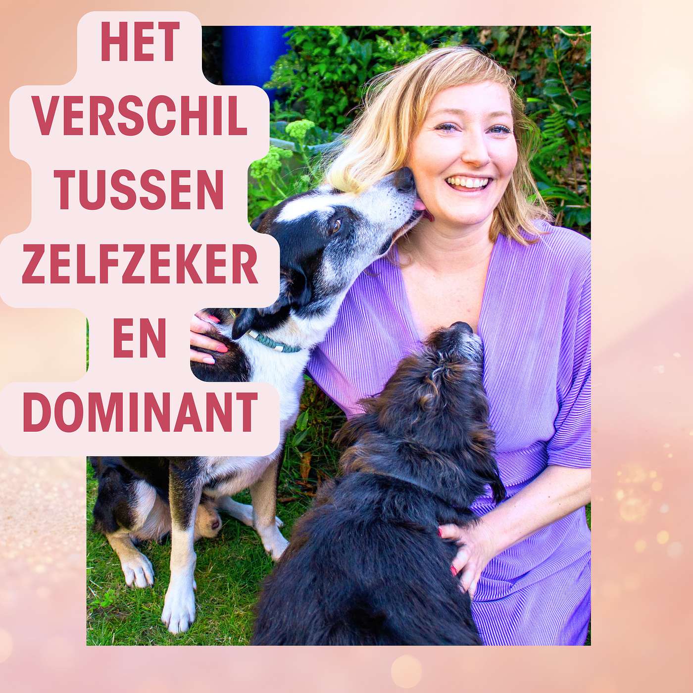 #5 Is jouw hond dominant? Misverstanden onder de loep episode artwork