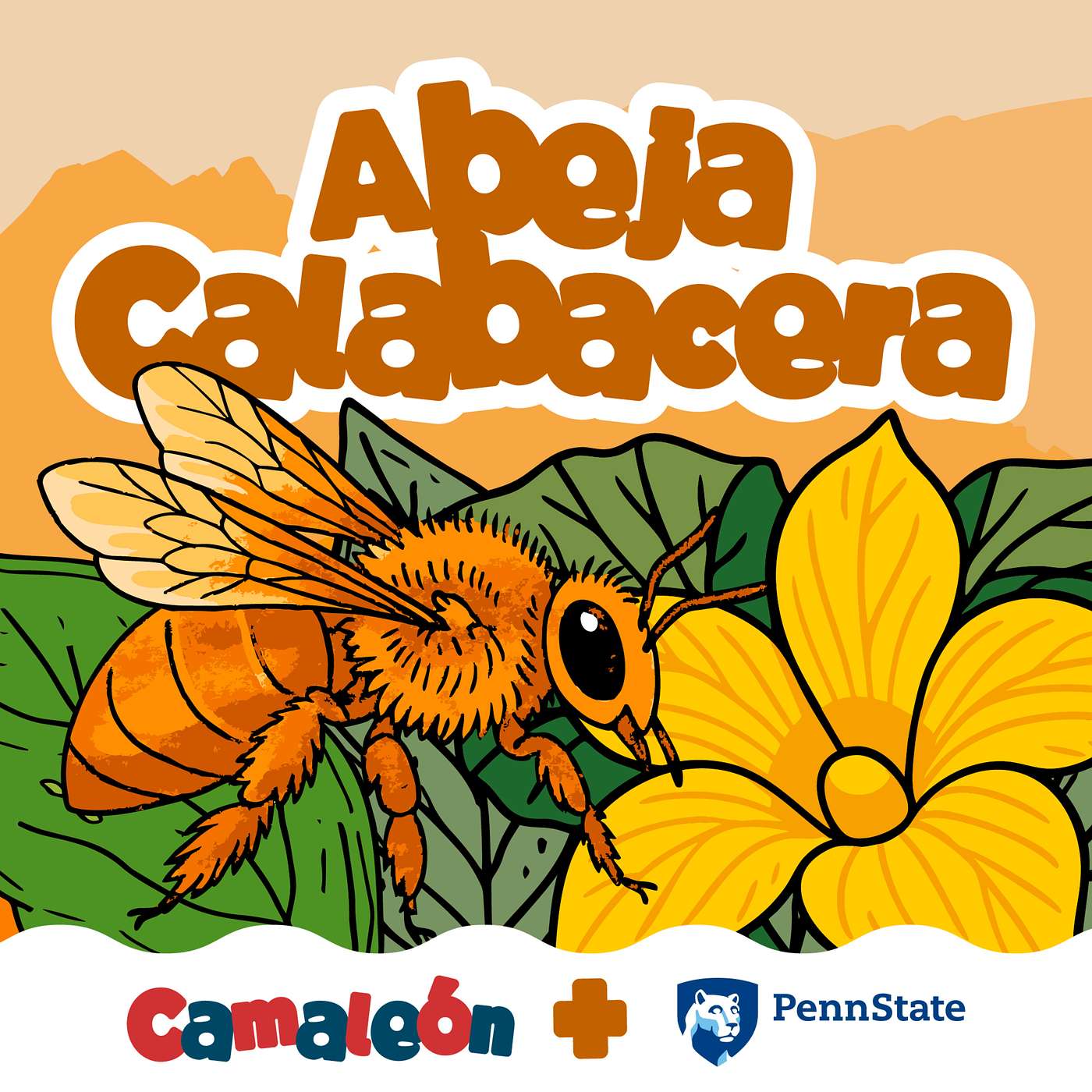 Abeja Calabacera: solitaria excavadora episode artwork