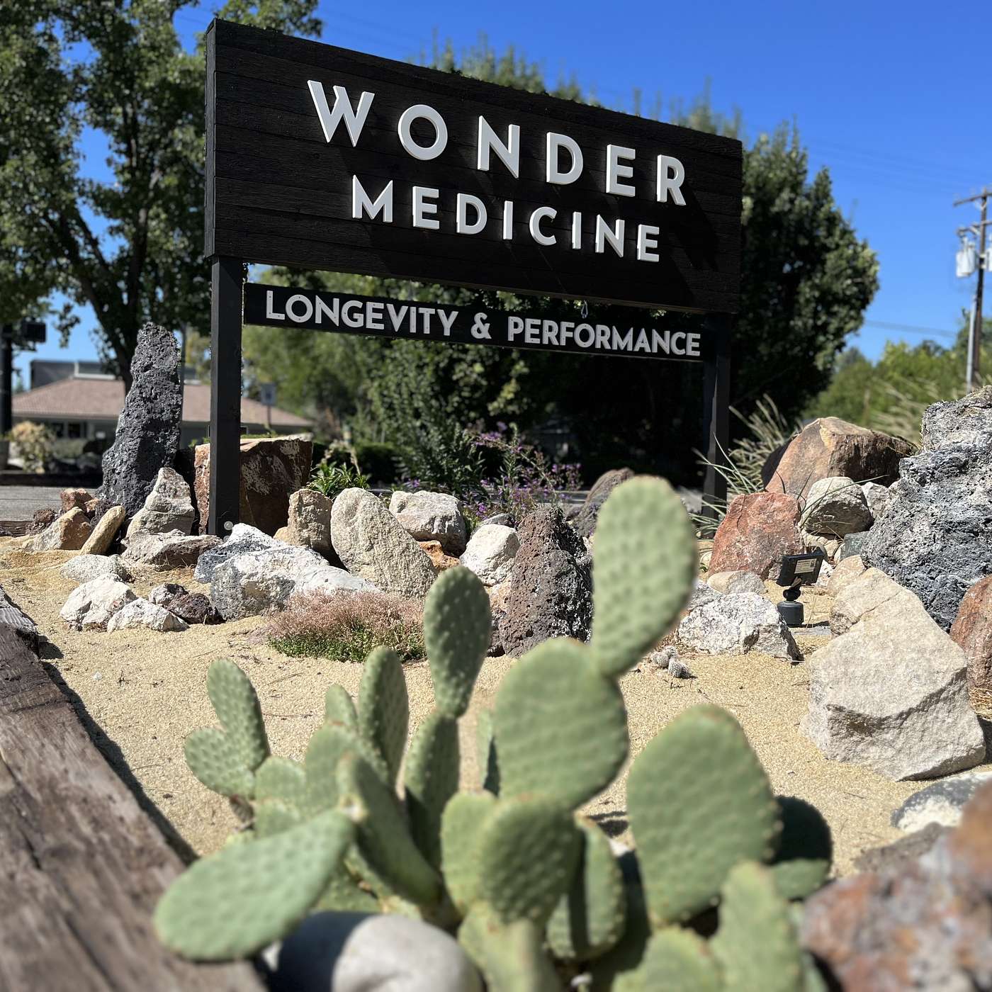 Longevity and Performance Program at Wonder Medicine