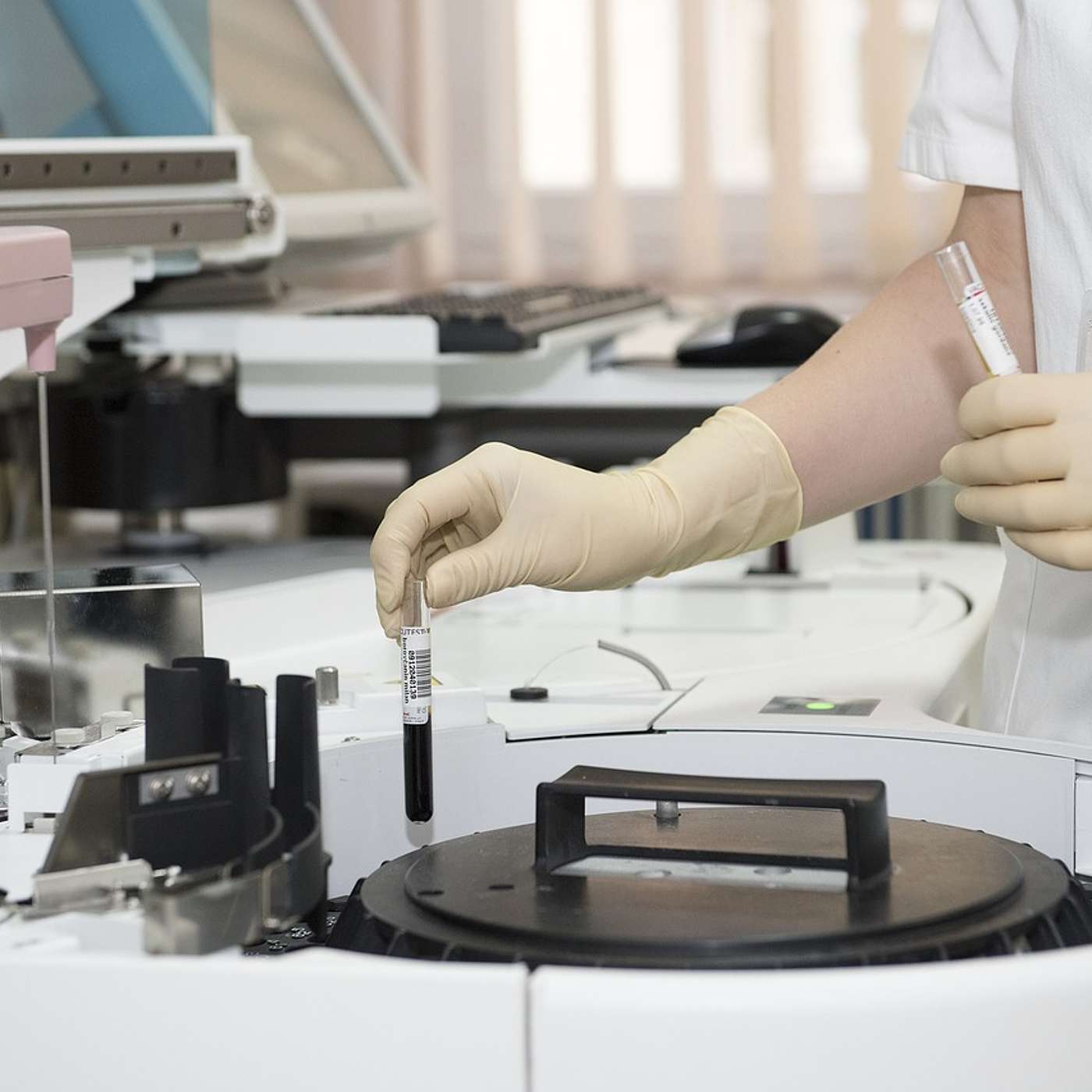Breakthrough Medical Advances of 2024 are Built on Biomedical Science