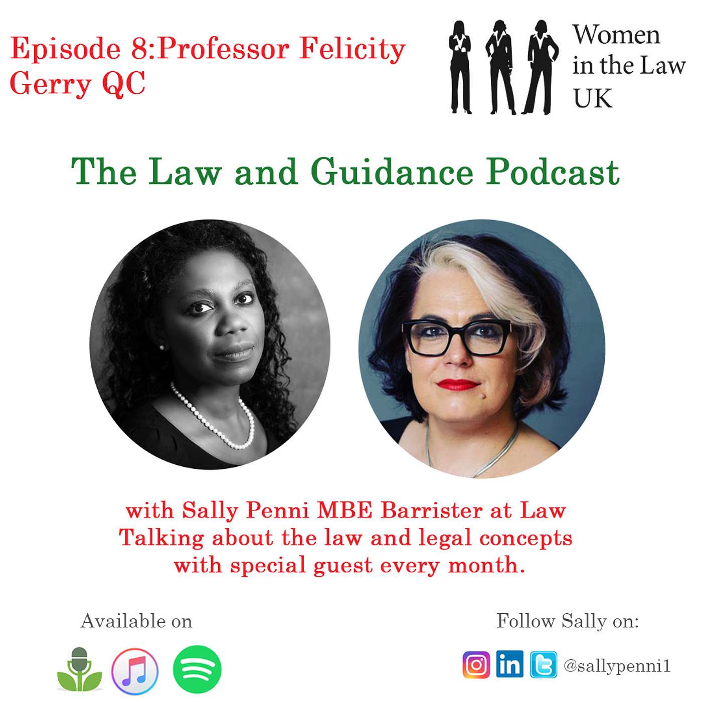 Episode 8 - Law and Guidance Podcast with Felicity Gerry QC episode artwork