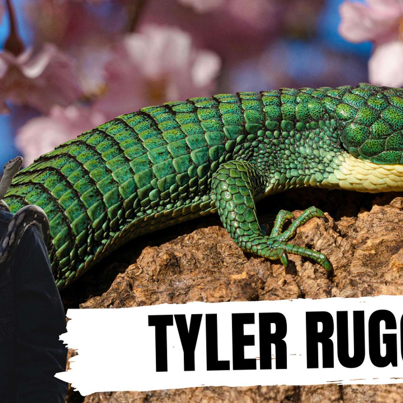 How Tyler feels about wild caught imported reptiles