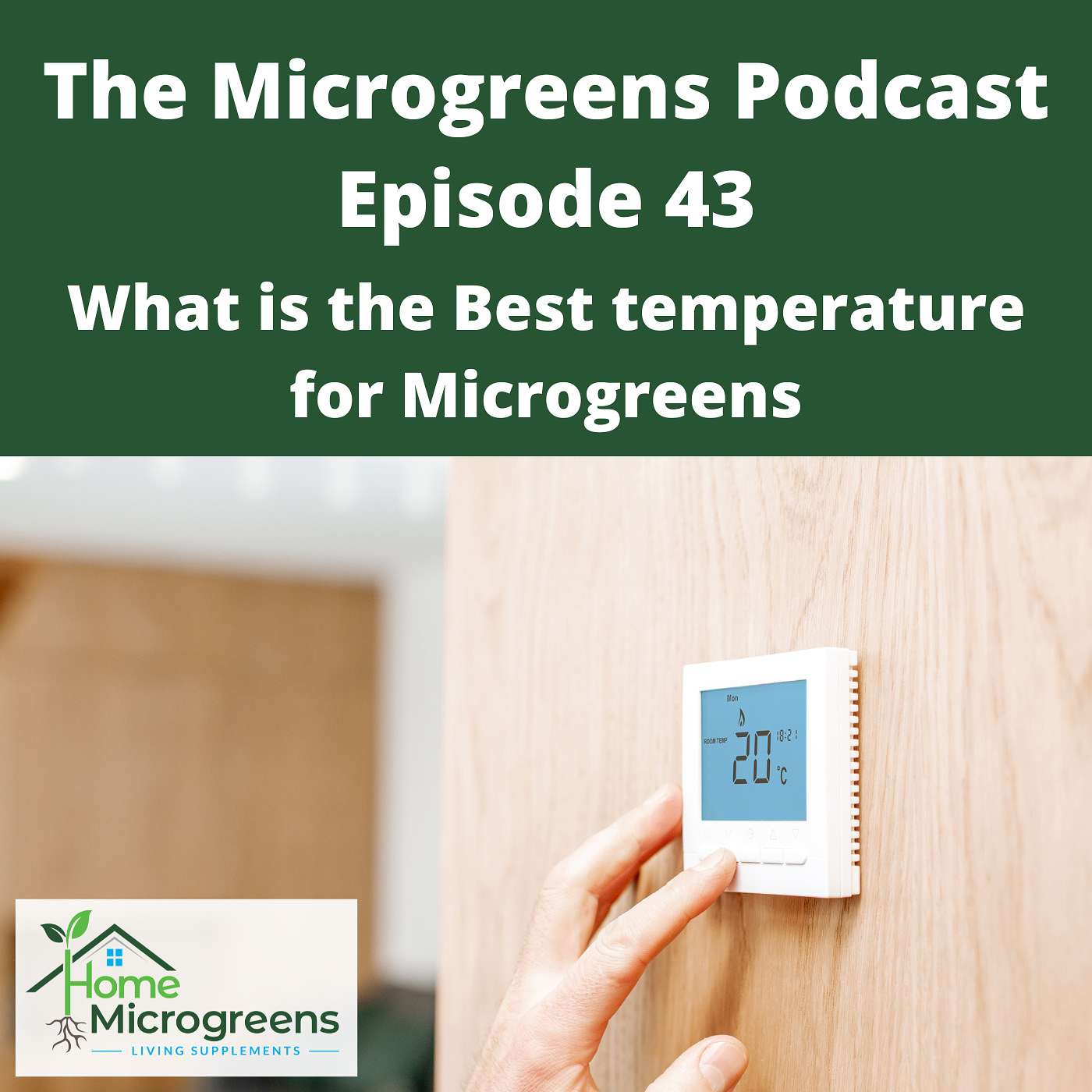 What is the Best Temperatures for Microgreens What is the Best Temperatures for Microgreens