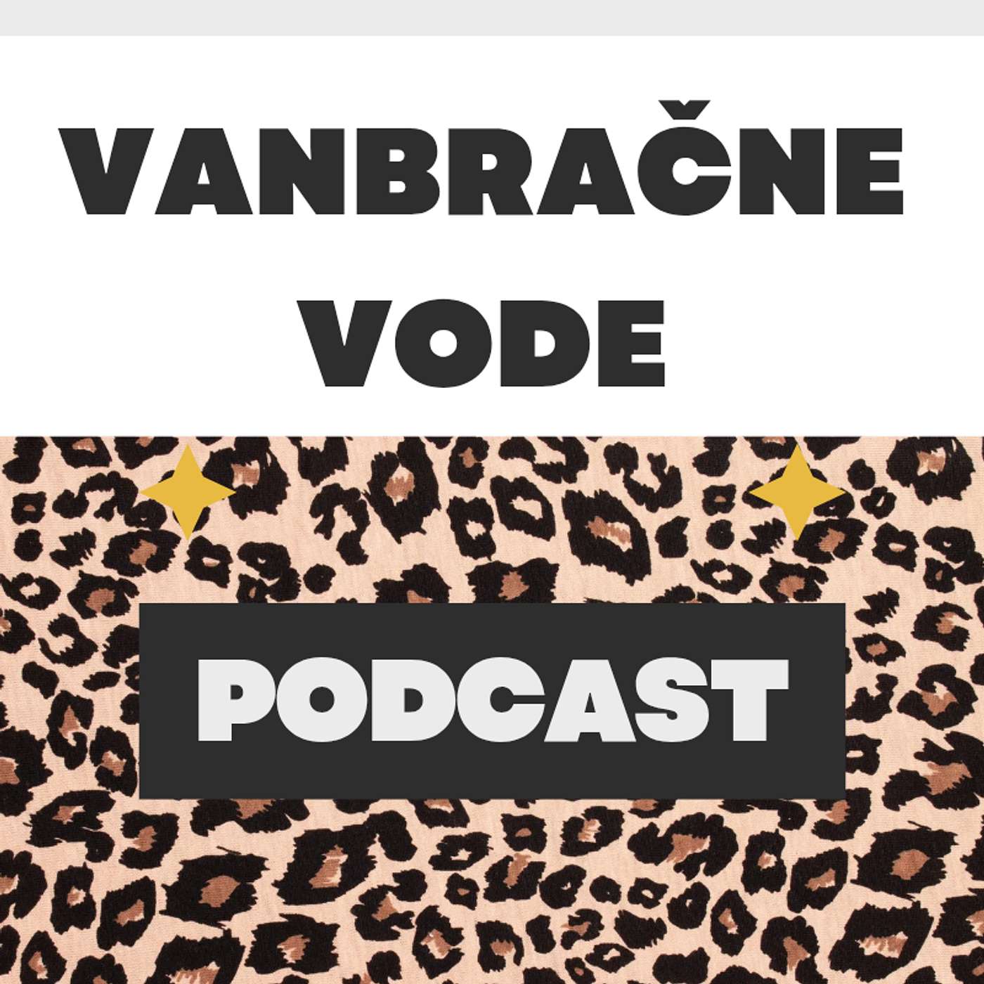 VANBRAČNE VODE podcast artwork
