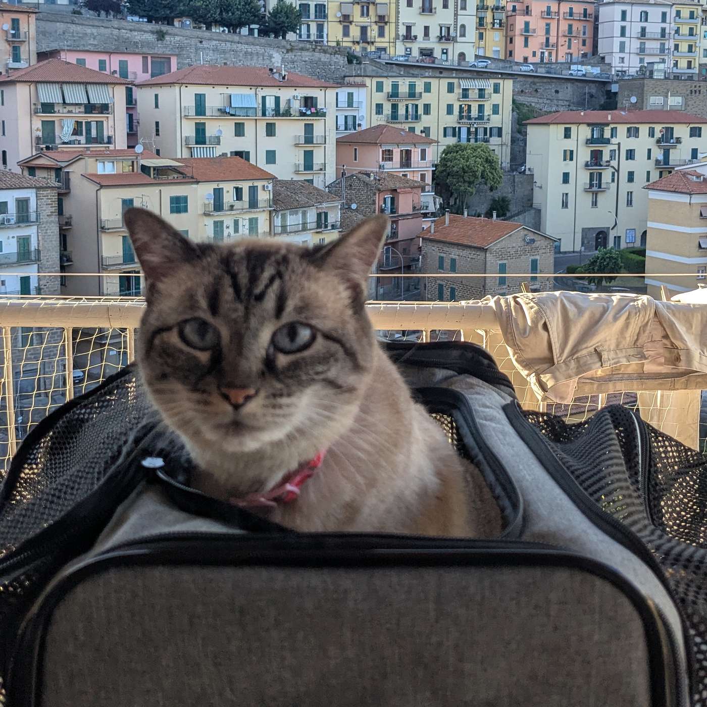 Packing Smart: How To Pack for Your Trip Packing Smart: How To Pack for Your Trip