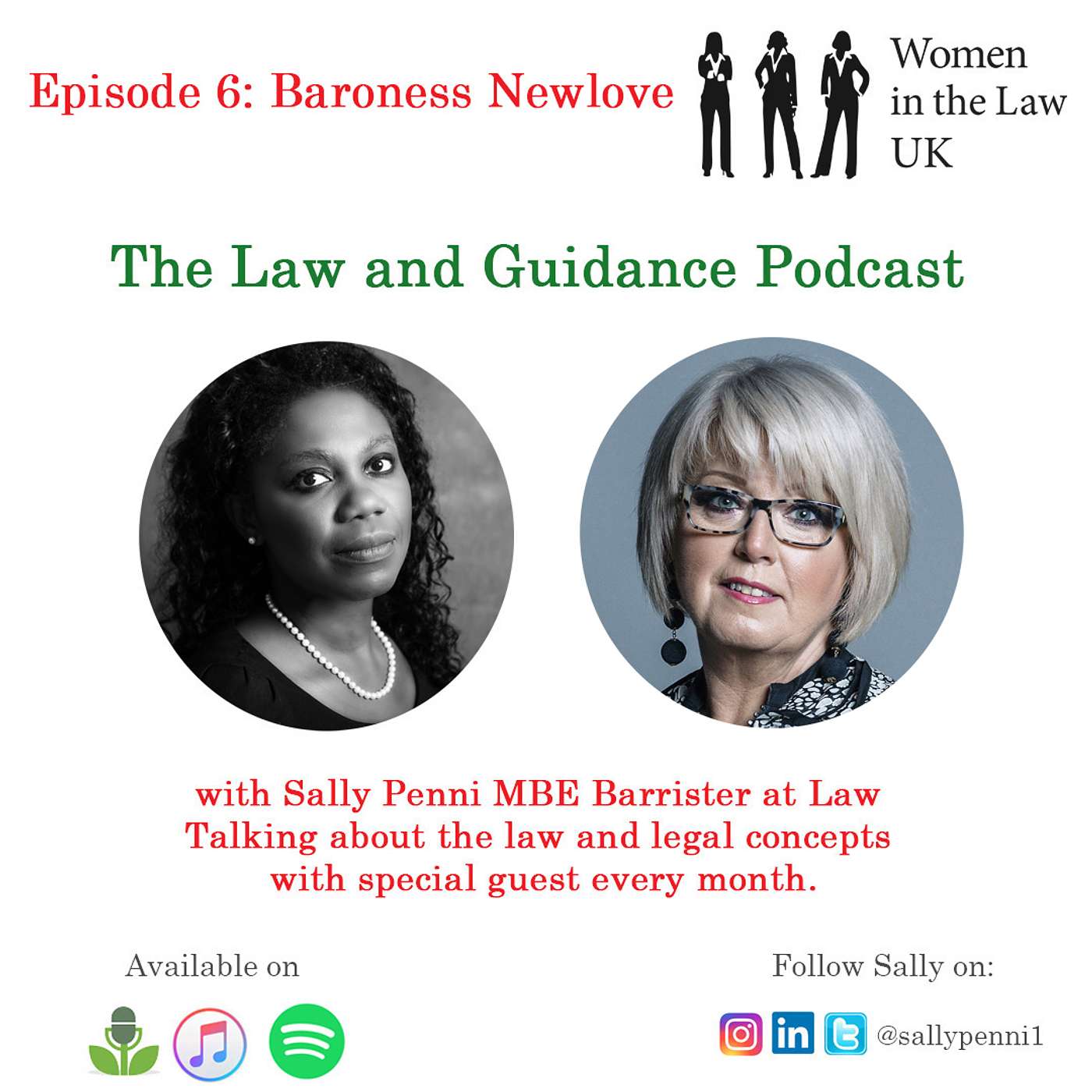 Episode 6 - Law and Guidance Podcast with Baroness Newlove episode artwork