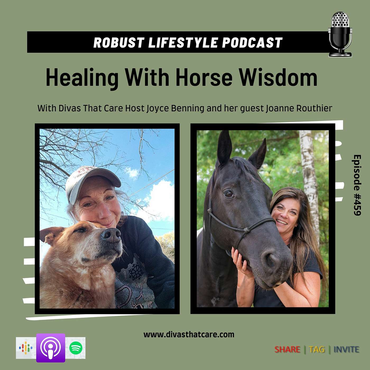 Healing With Horse Wisdom episode artwork