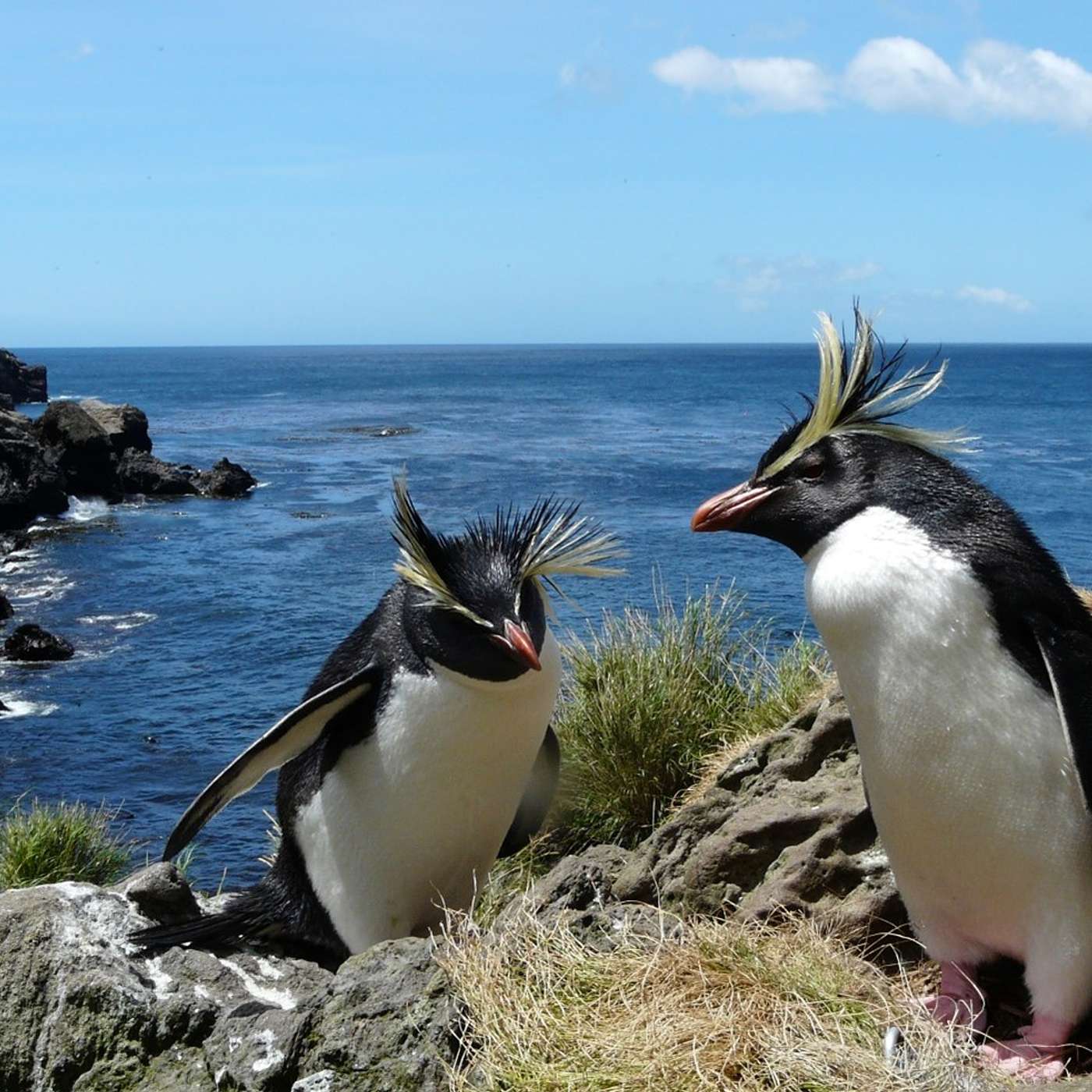 Inspiring People: Environmental Funders Network