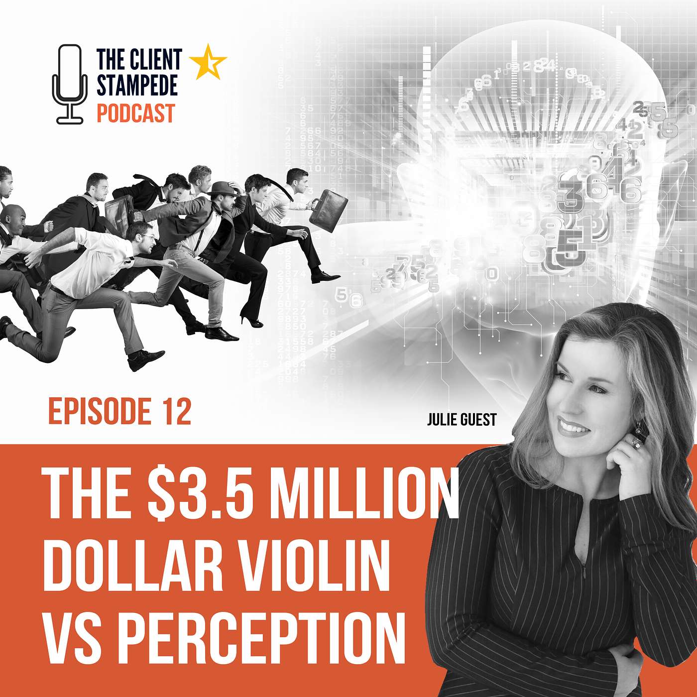 #12 The $3.5 Million Dollar Violin and Your Company's 