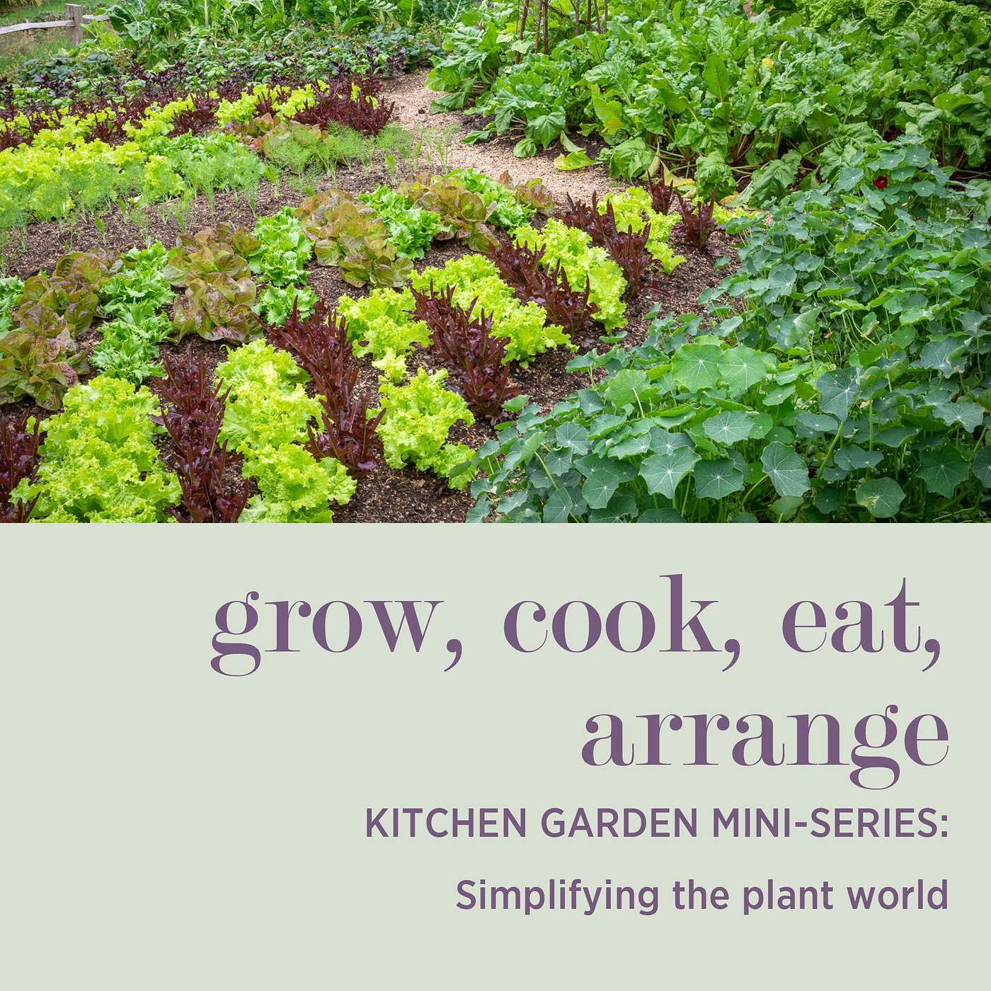 cover of episode KITCHEN GARDEN MINI-SERIES: Simplifying the Plant World