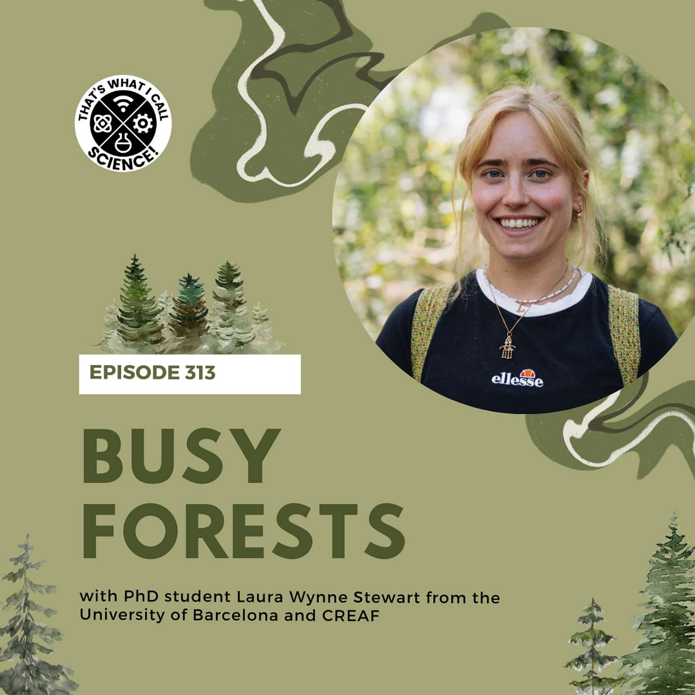 Episode 313: Busy Forests