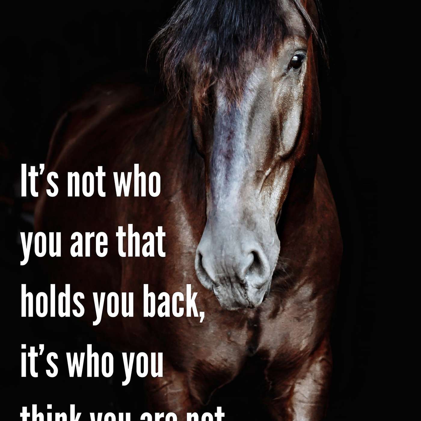 Who You Think You Are