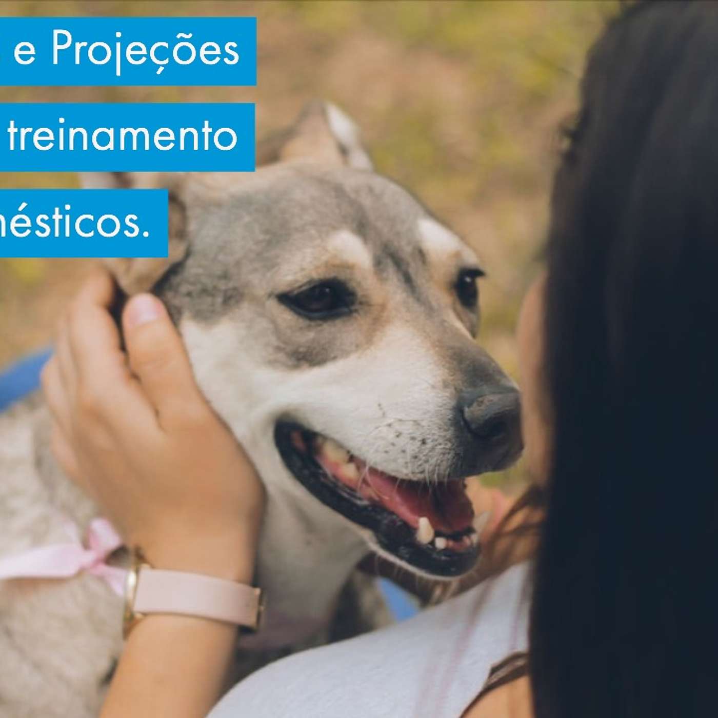 Expectativas e Projeções humanas no treinamento de cães domésticos. episode artwork