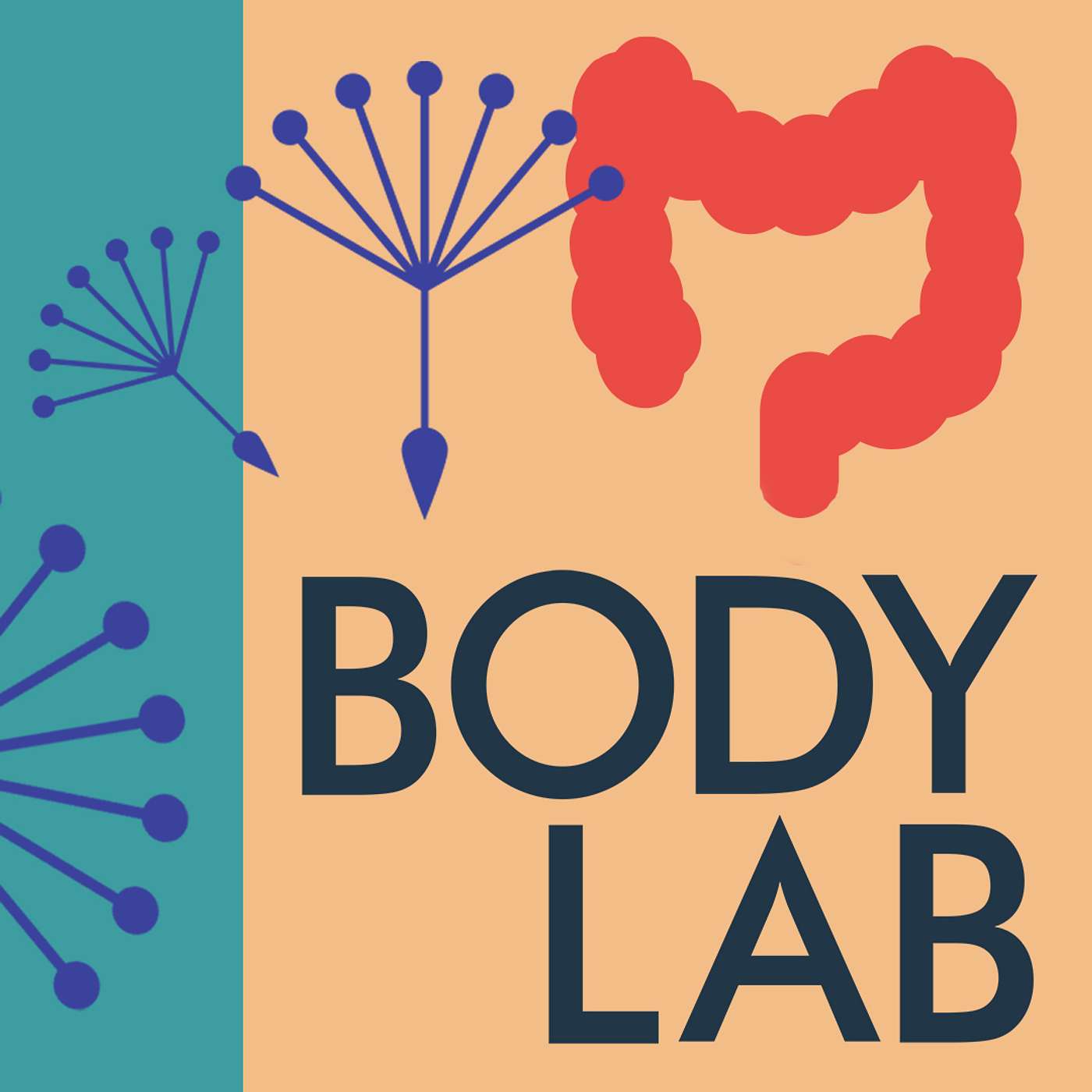 Allergies and Inflammation: What is your gut telling you?