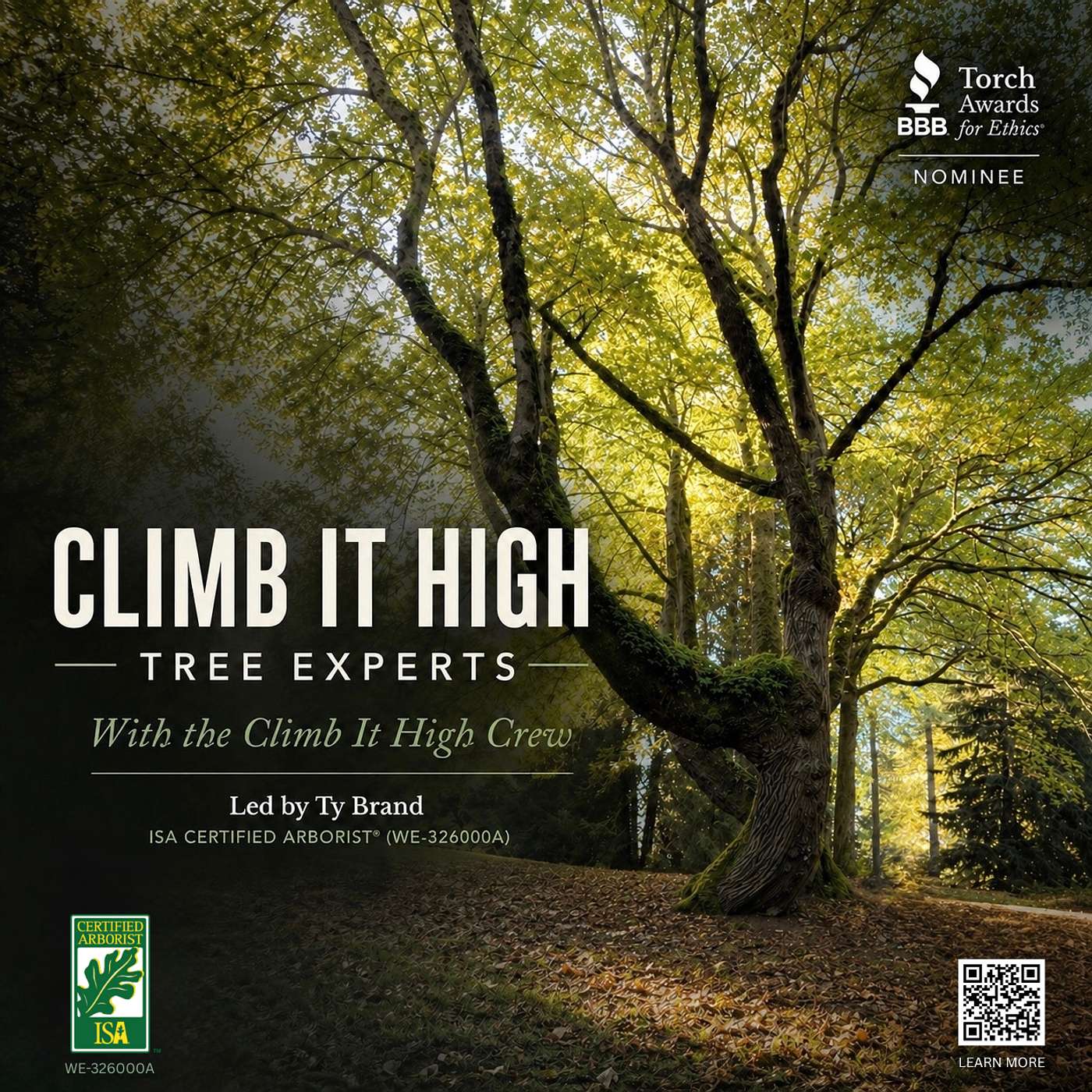 Climb It High Tree Experts Go Beyond Tree Trimming episode artwork