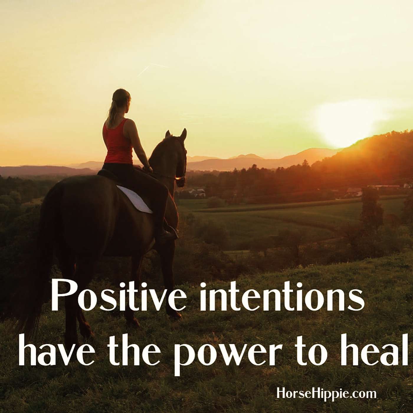 Positive Energy episode artwork