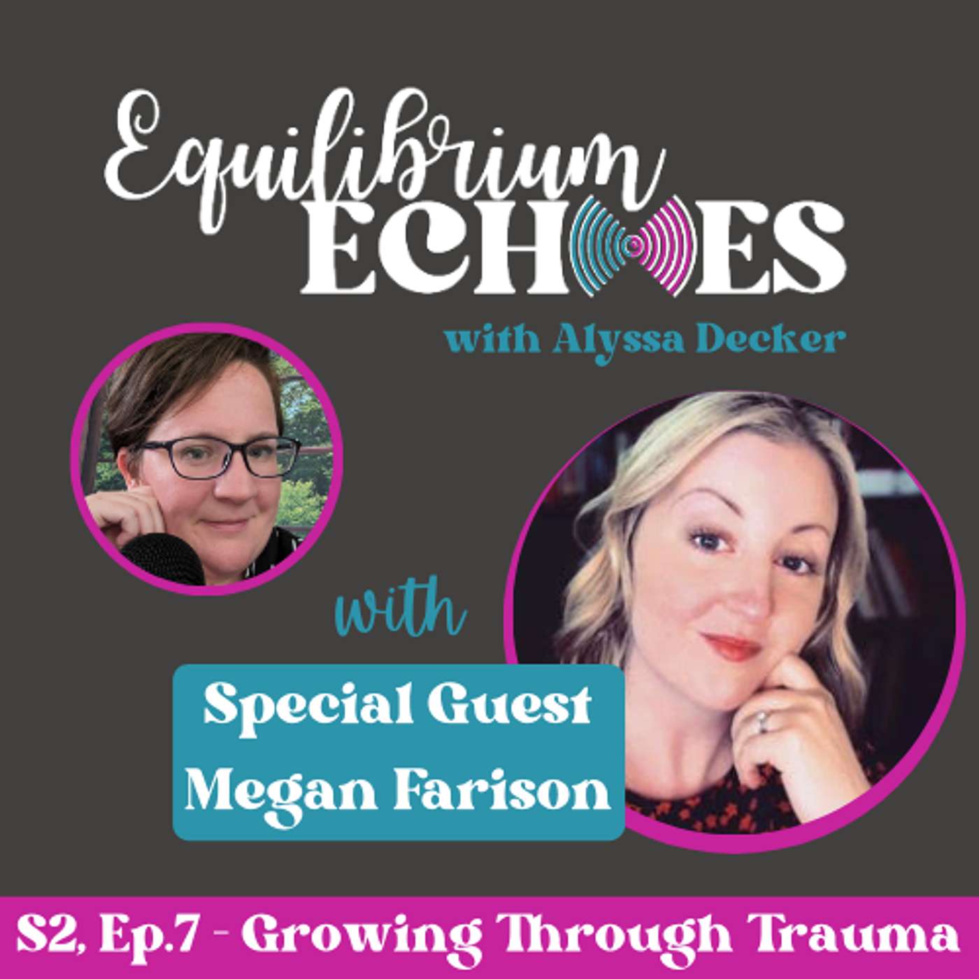 Equilibrium Echoes