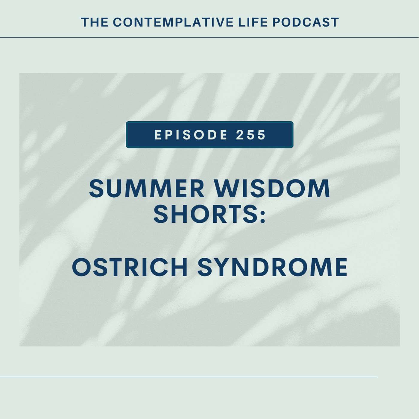 Ep 255 Summer Wisdom Shorts: Ostrich Syndrome