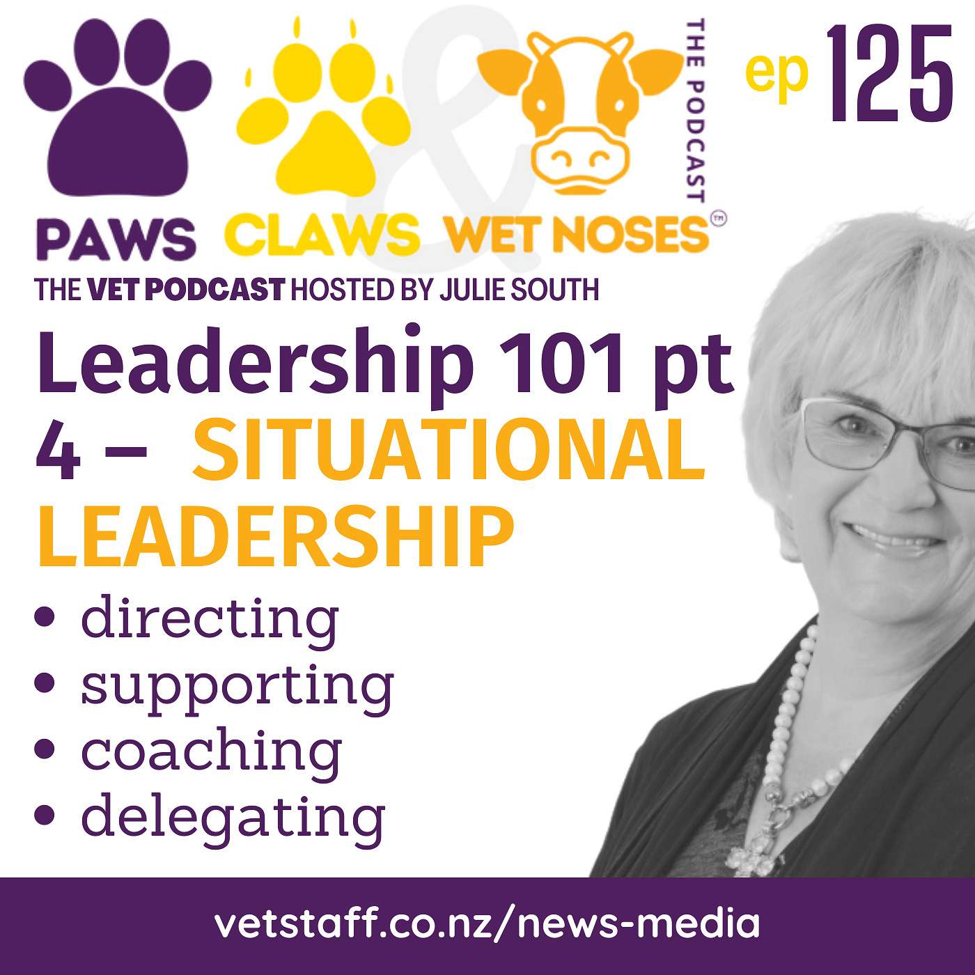 Situational Leadership Mastery - Cracking the Leadership Code 101 - pt 4