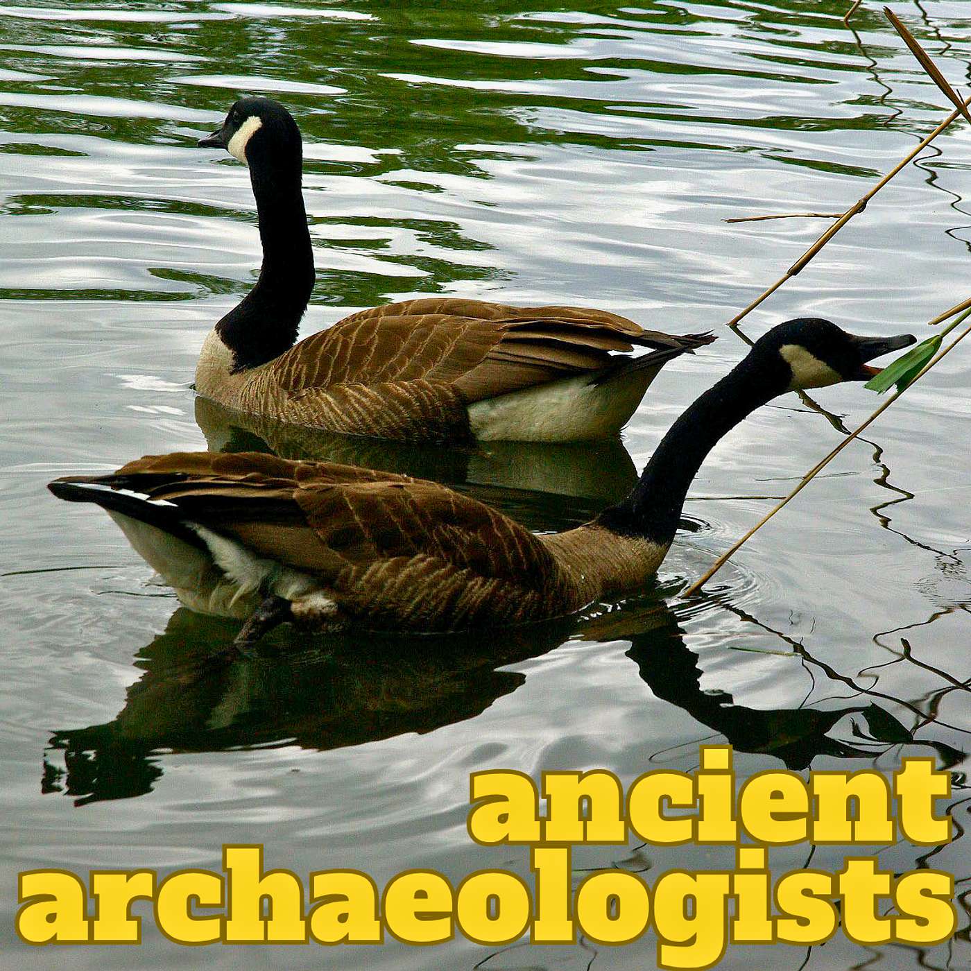 Ancient Archaeologists