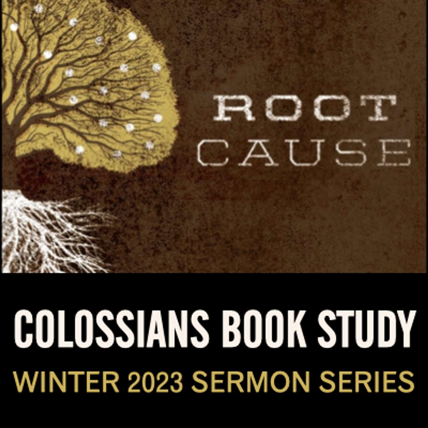 Root Cause Part 2: The Seed of Wisdom / Colossians 1:9-14 episode artwork