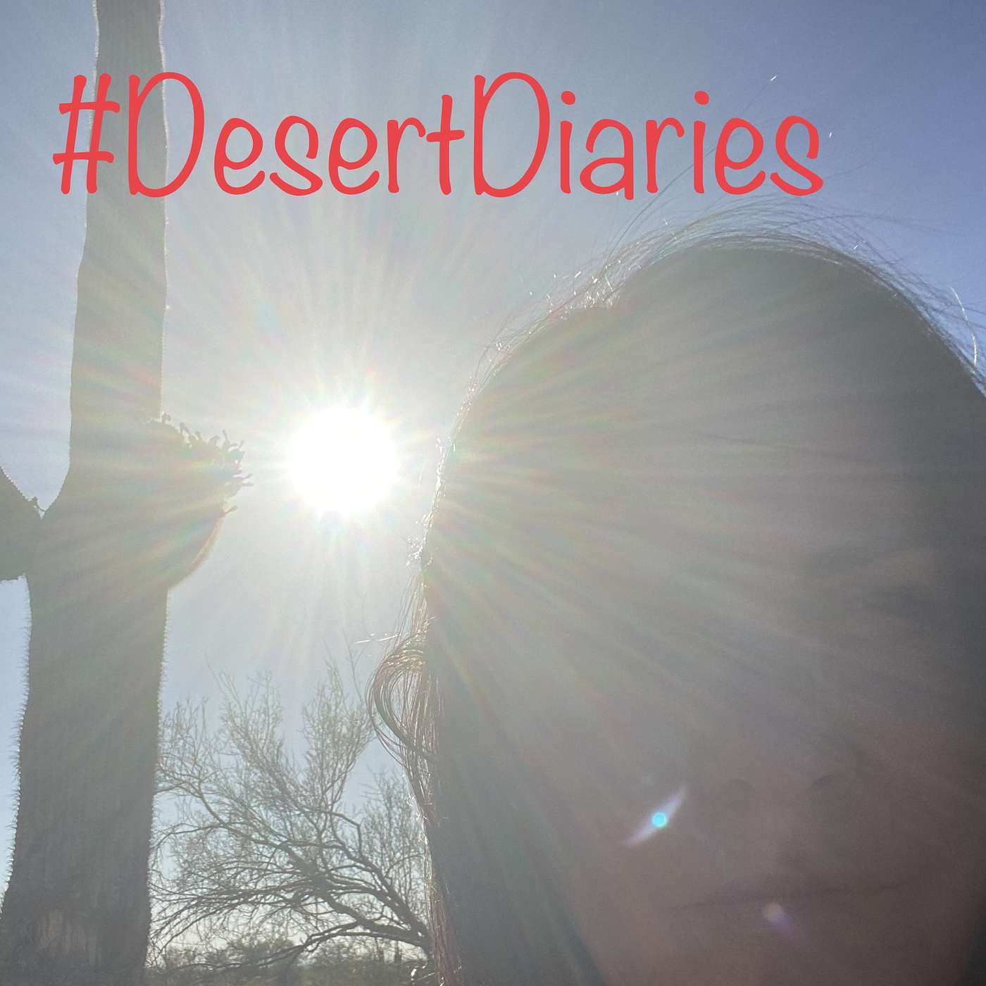 Pensive in the desert