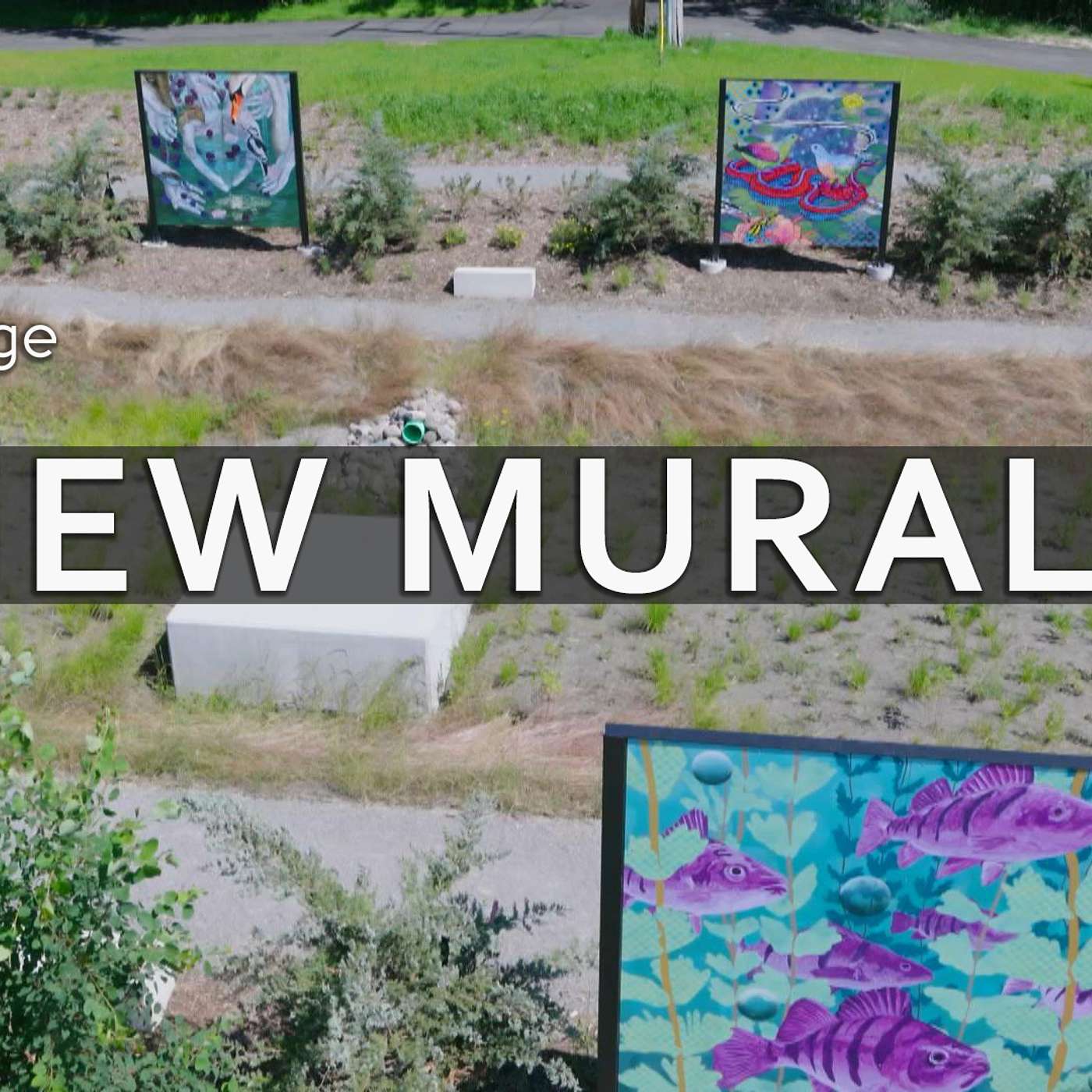 Art Intersection MKE adds 10 new murals | The Arts Page episode artwork