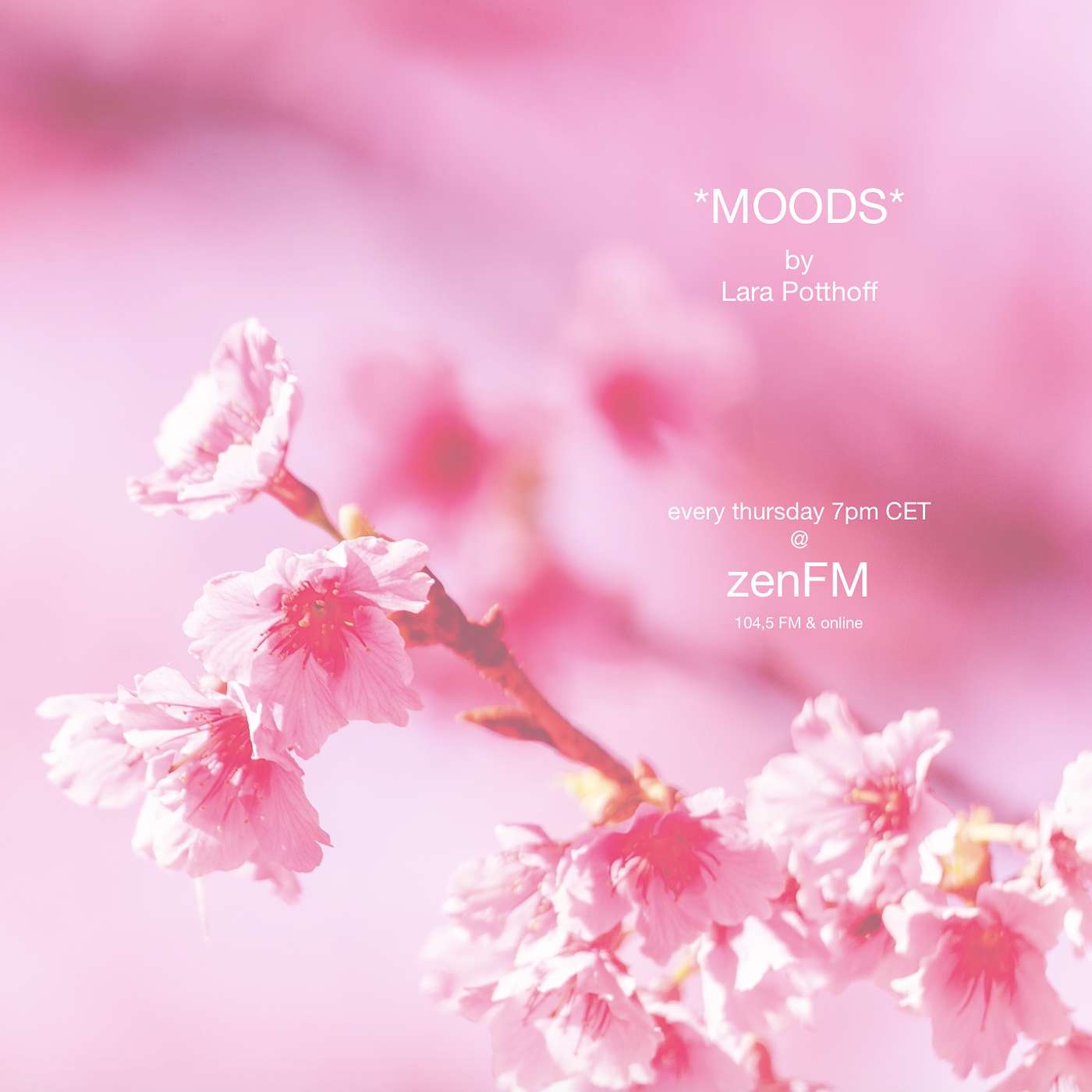 *MOODS* by Lara Potthoff @ zenFM 20.02.20