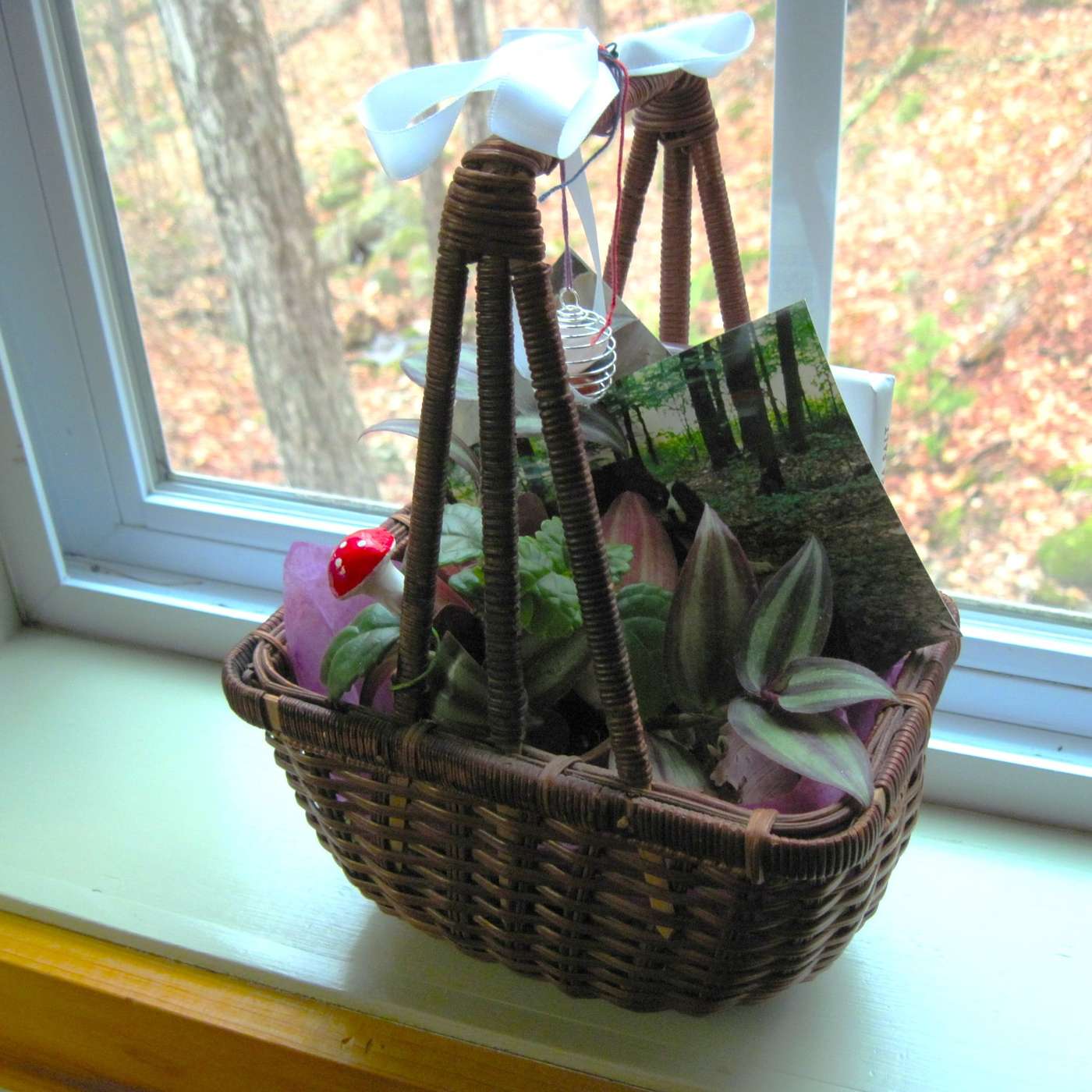 A SPECIAL RANDOM ACT OF KINDNESS