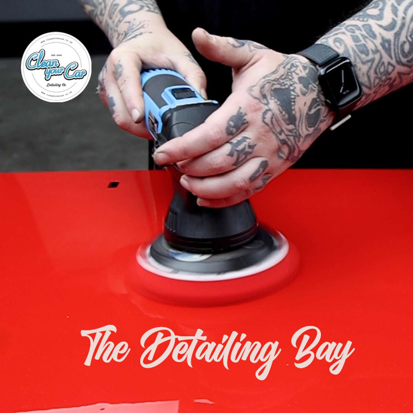 Paint Correction- which machine do you go for?