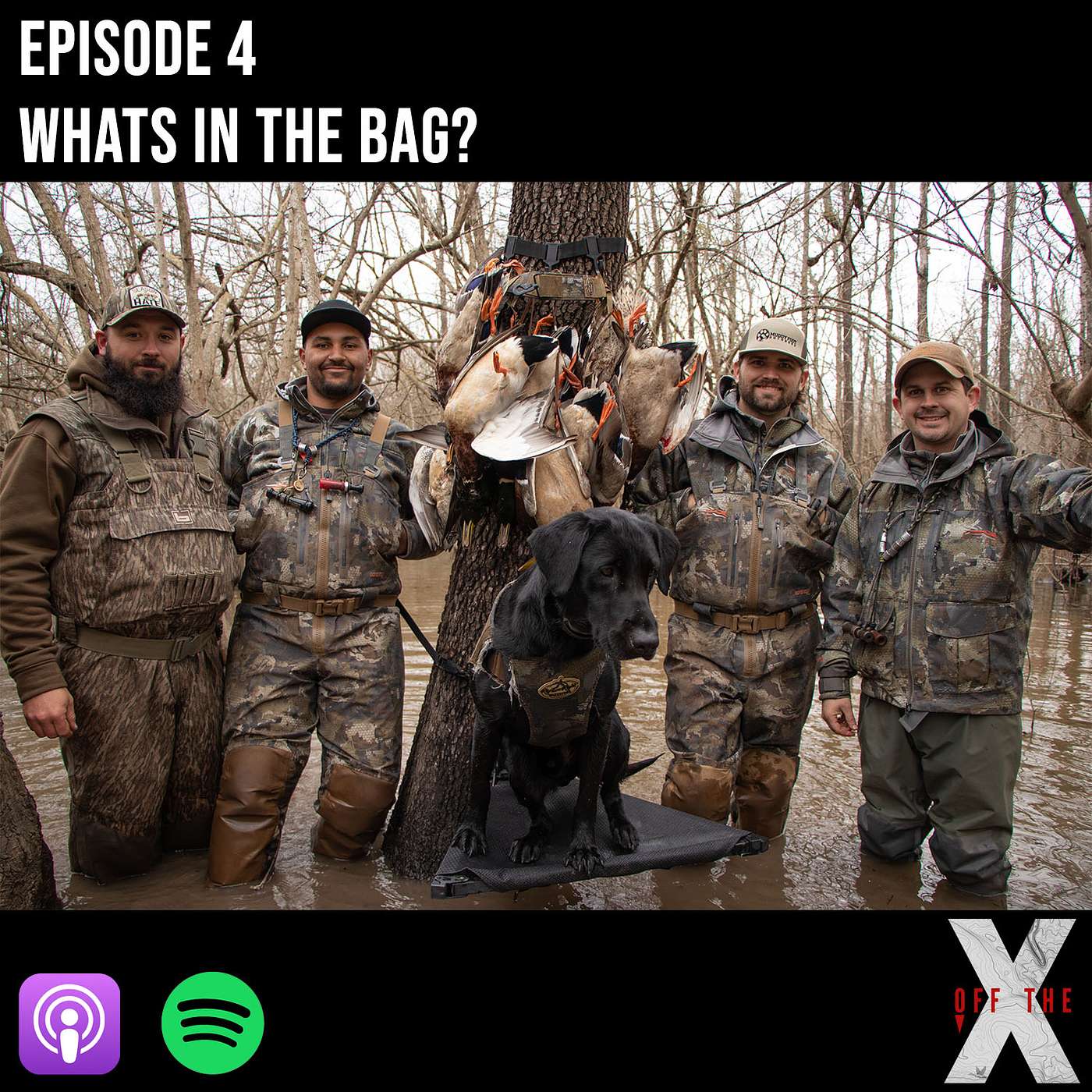 What's in the bag?