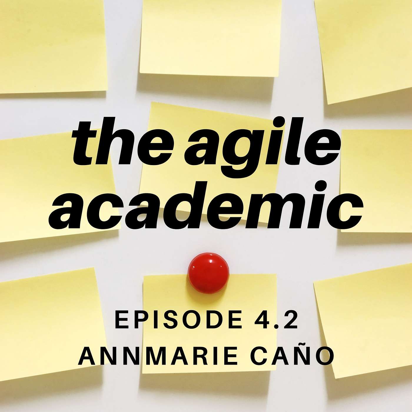 the agile academic