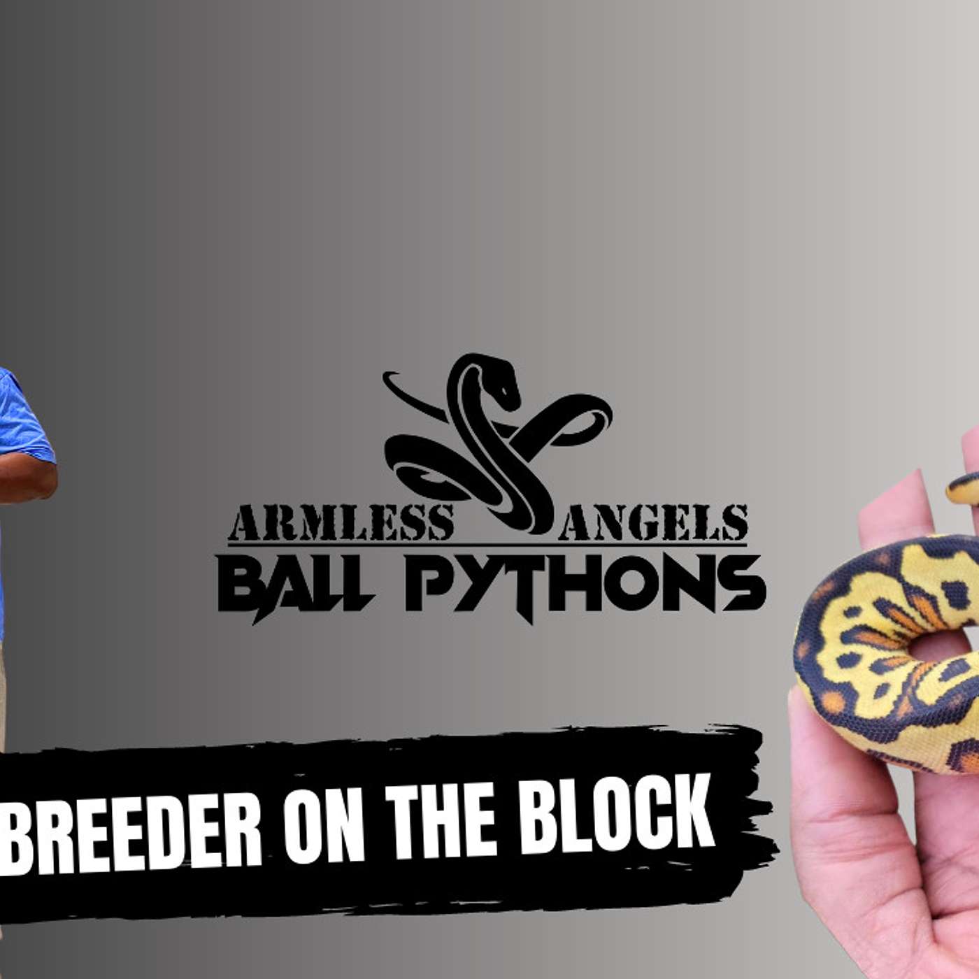 Justin breaks down his biggest Ball Python projects of 2023