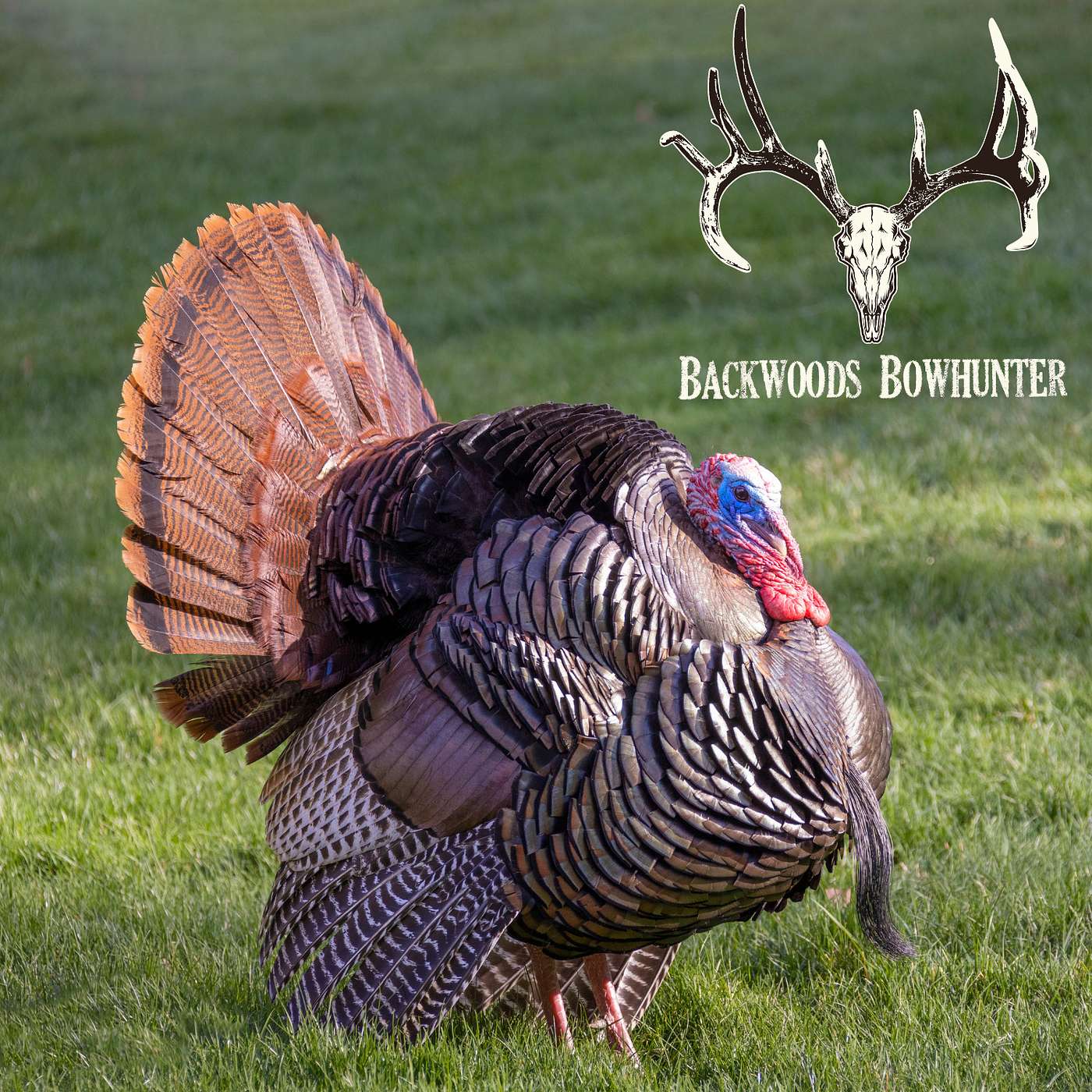 Ep 164 / Turkey Tips From Deer Hunters