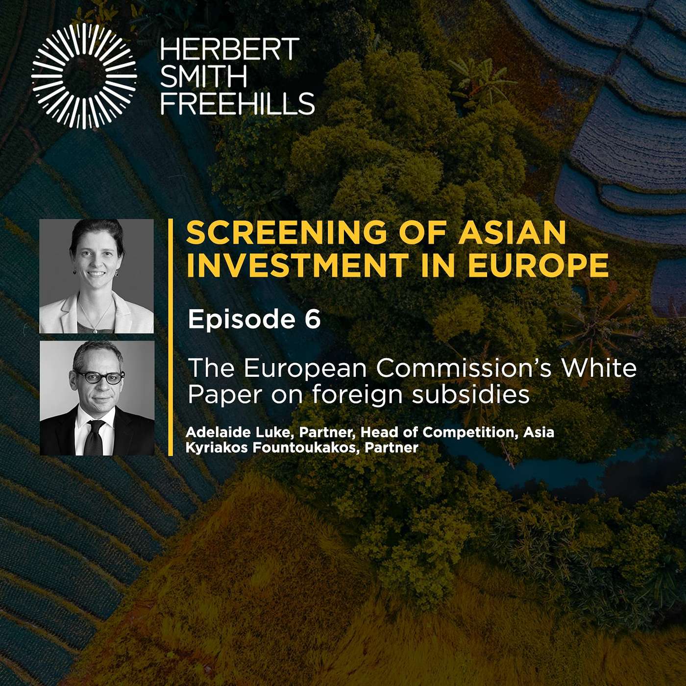 Unbundling Competition: EP6 - The European Commission’s White Paper on foreign subsidies episode artwork