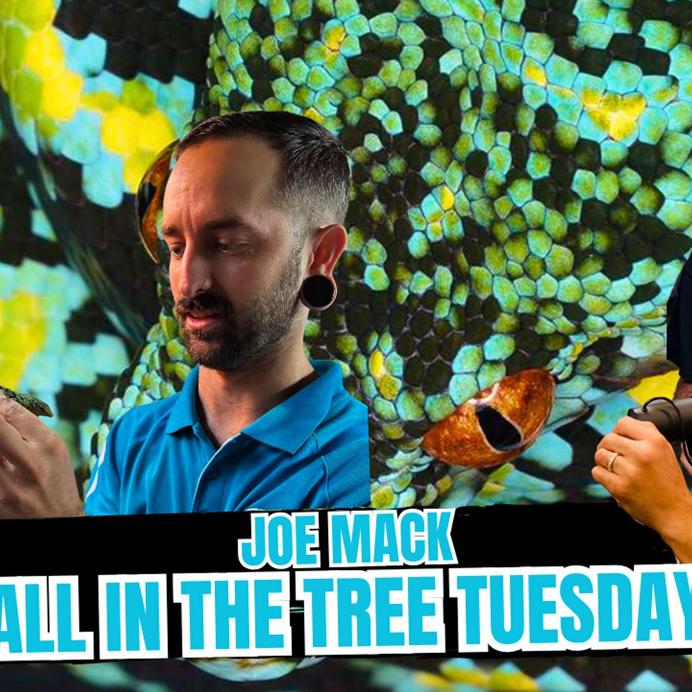 The Coolest Reptile Podcast Out Of Australia | All In The Tree Tuesday Live