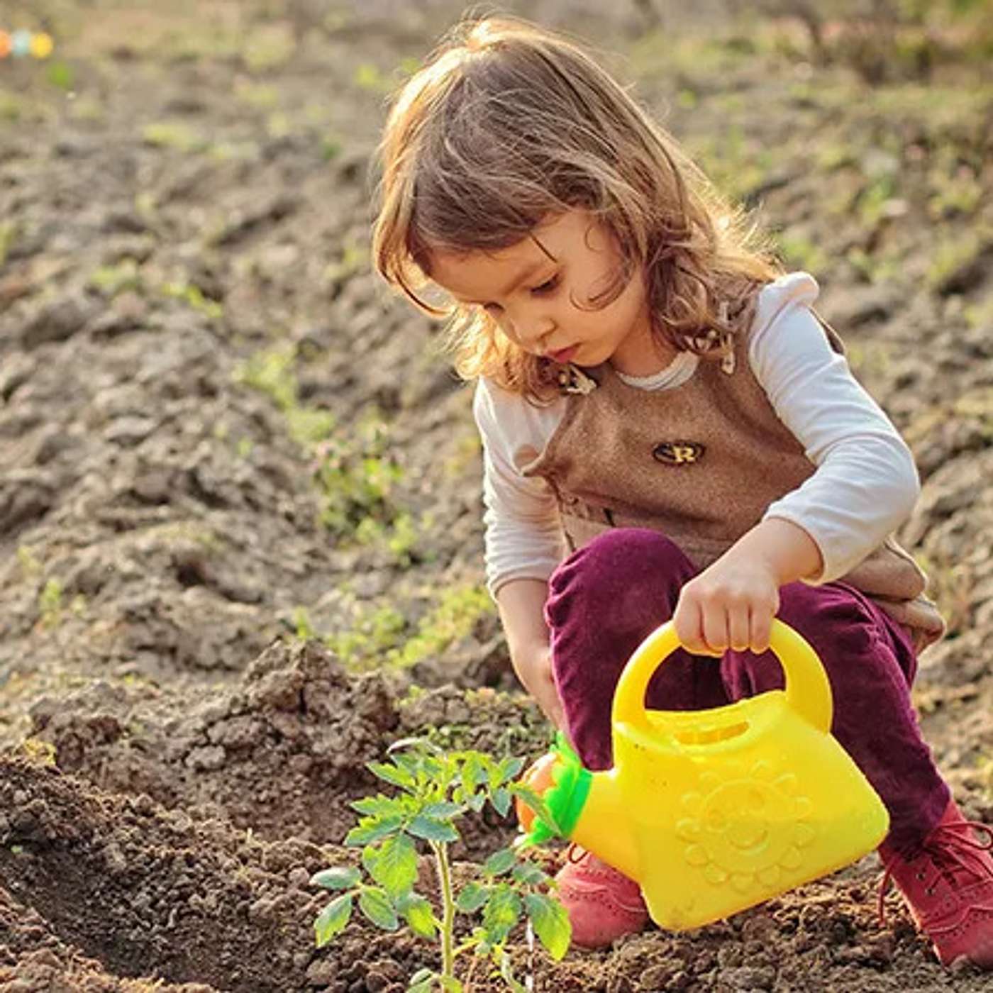 Episode 1152 - Planting Seeds, Raising Children