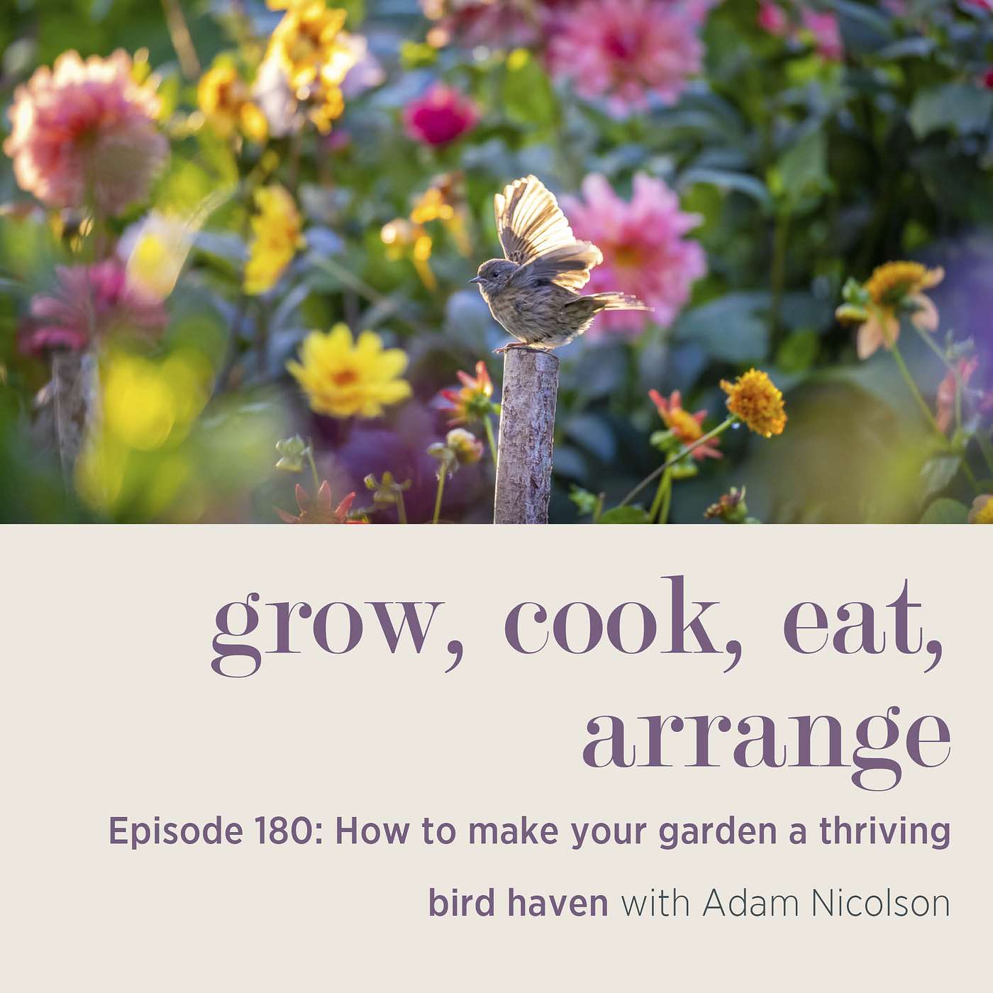 How to make your garden a thriving bird haven with Adam Nicolson - Episode 180