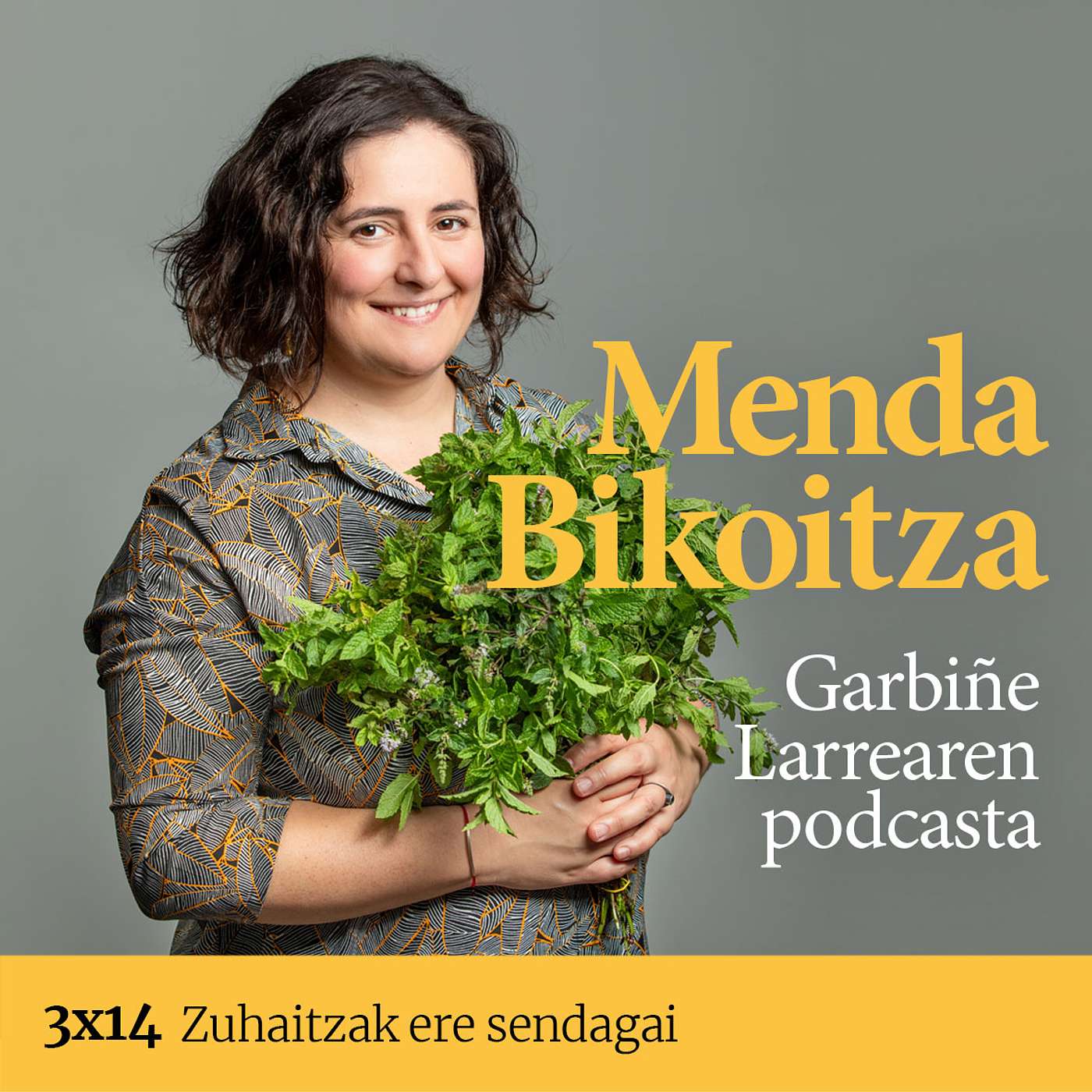 Menda Bikoitza 3x14: Zuhaitzak ere sendagai episode artwork