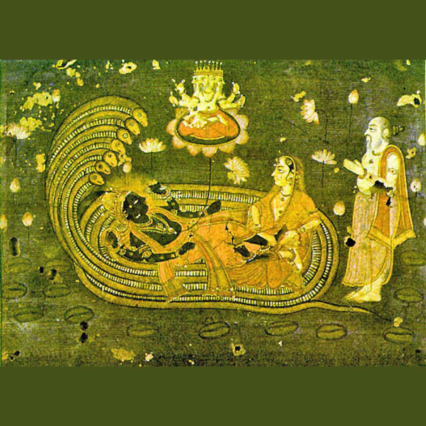 Kerry Shamblin Vedic Astrology