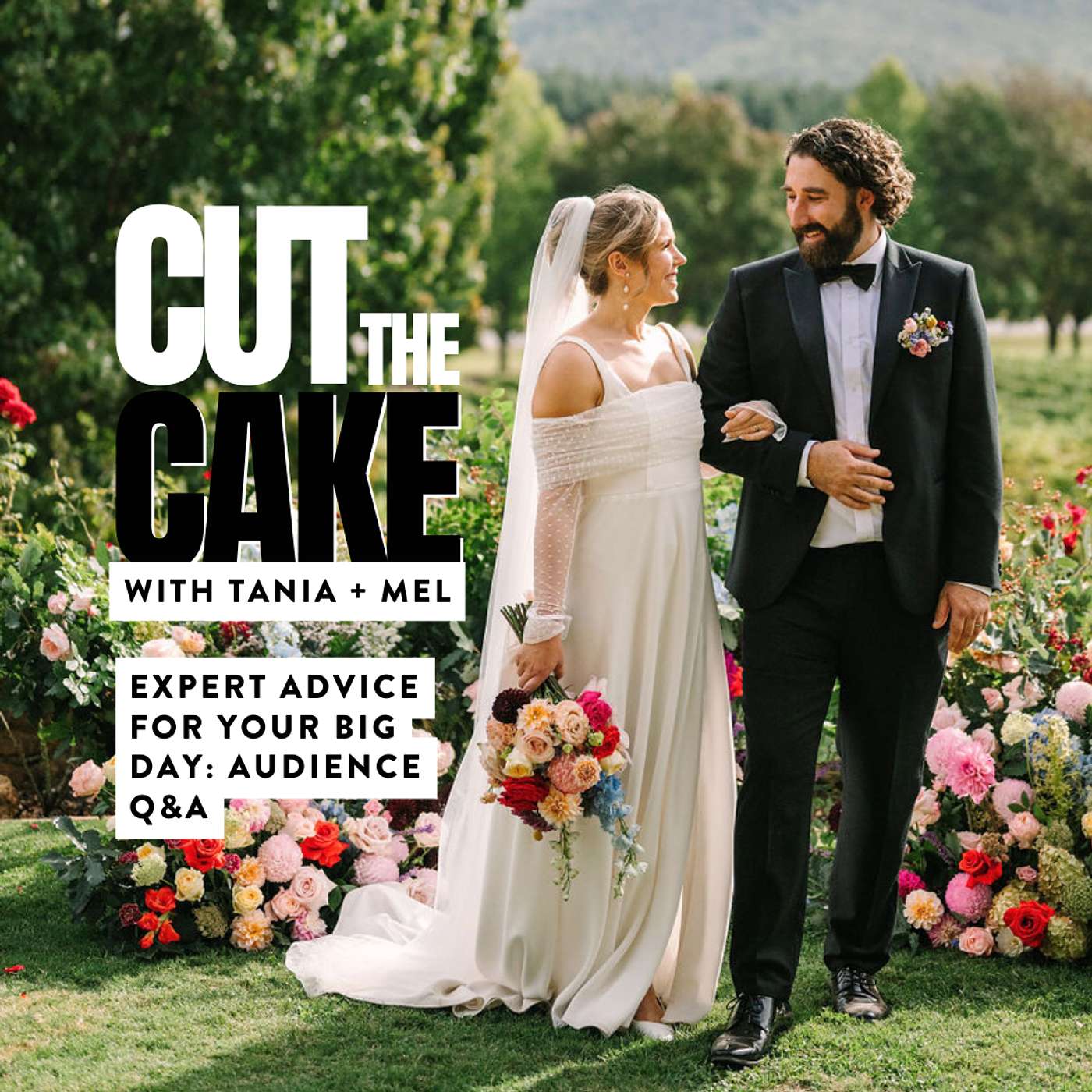 Cut the Cake