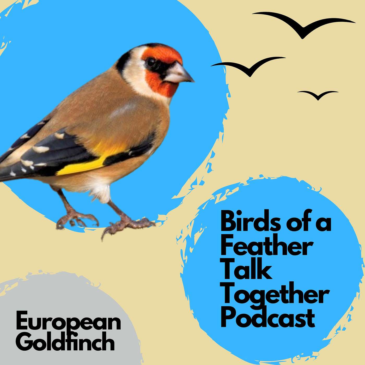 Birds of a Feather Talk Together