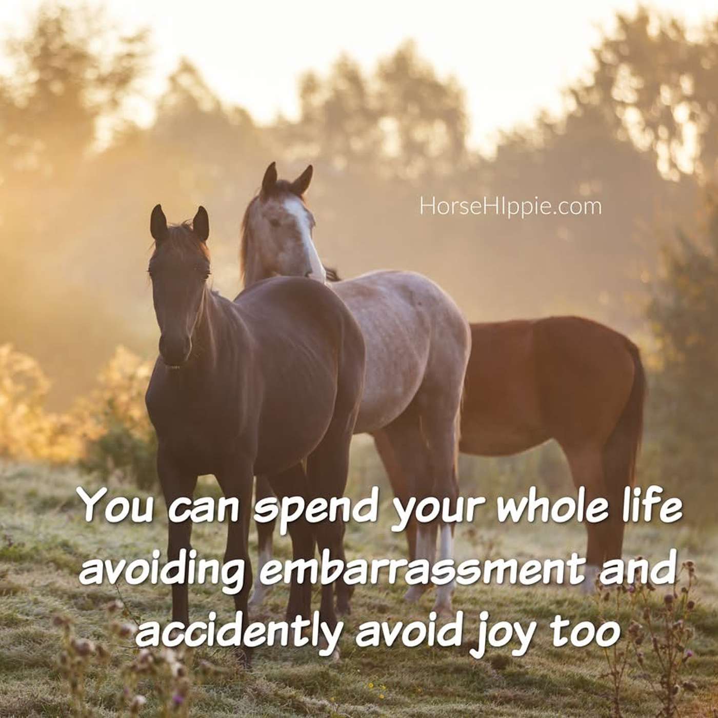 No Embarrassment Allowed episode artwork
