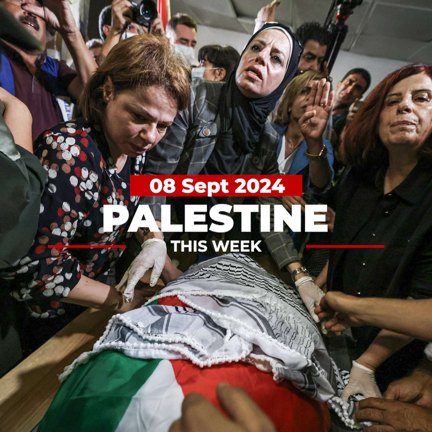 Palestine This Week