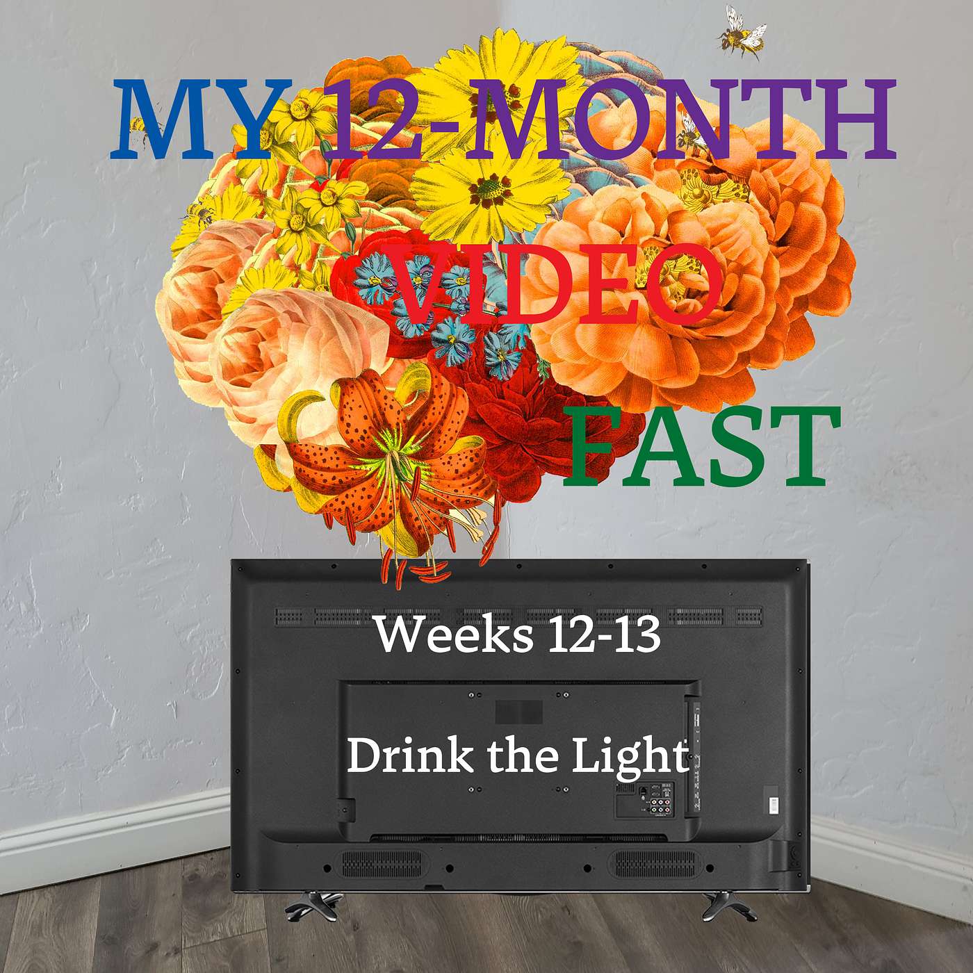 My 12-Month Video Fast