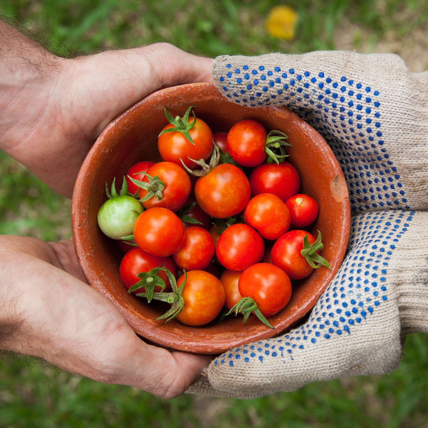 Cultivating Relationships (part 2)