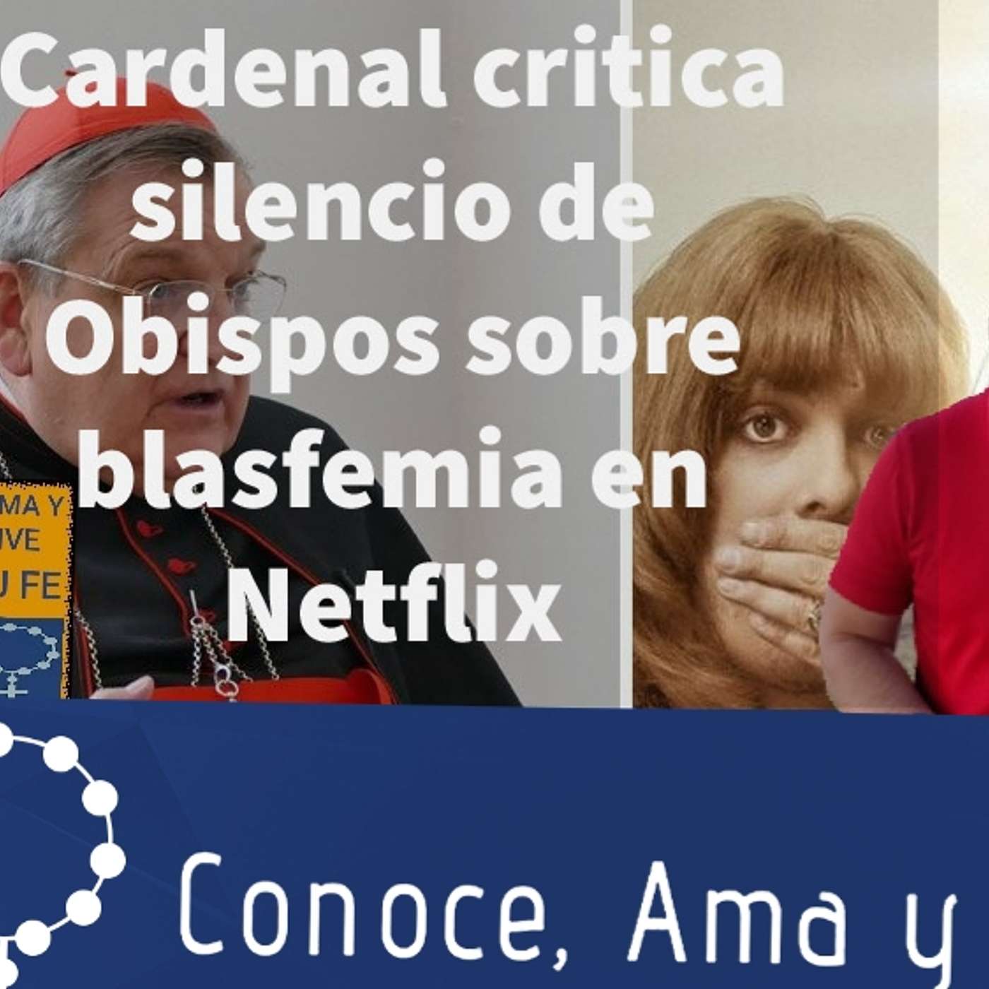 Episodio 137: 👏 Cardenal critica silencio de Obispos sobre Blasfemia en Netflix 🎬 episode artwork