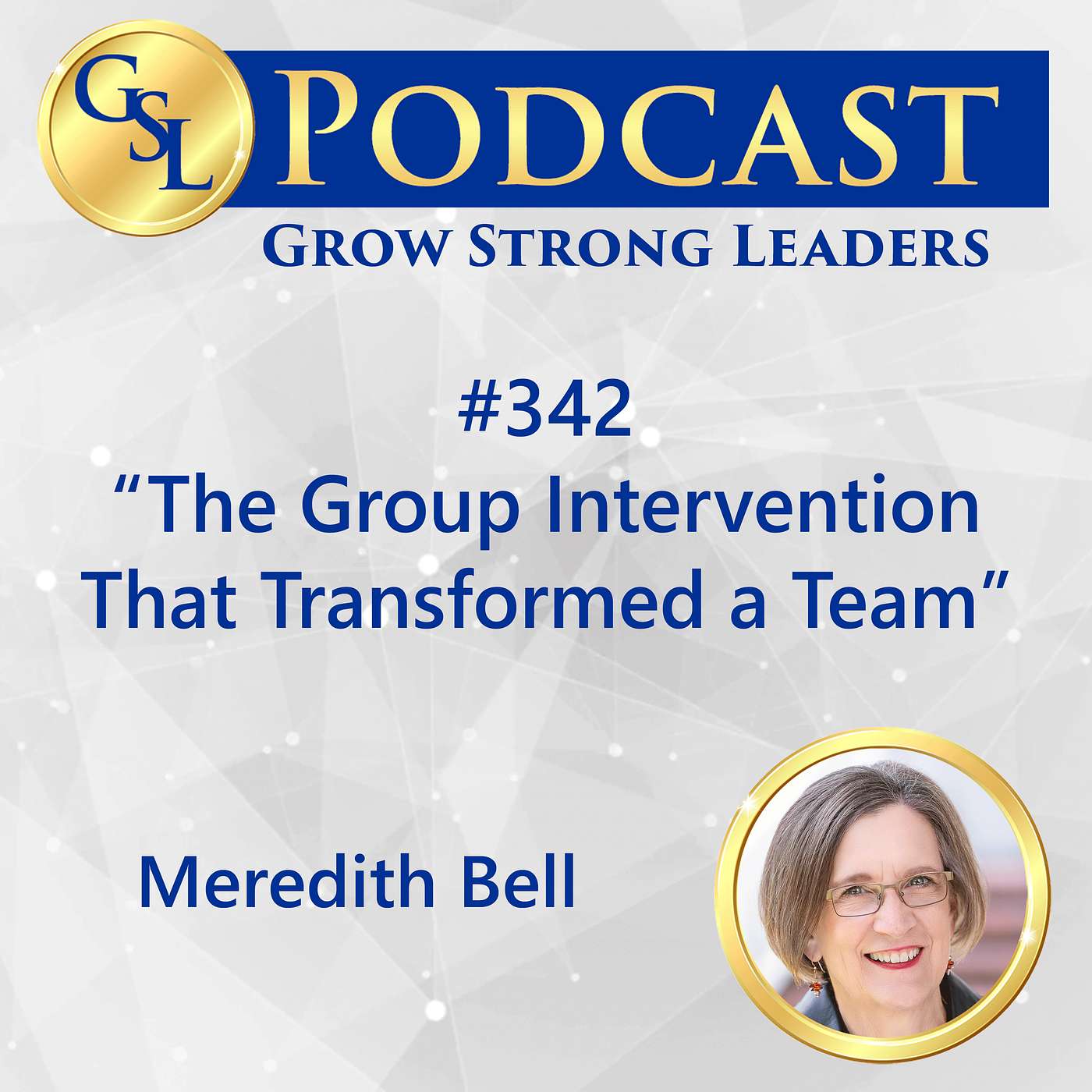 342: The Group Intervention That Transformed a Team