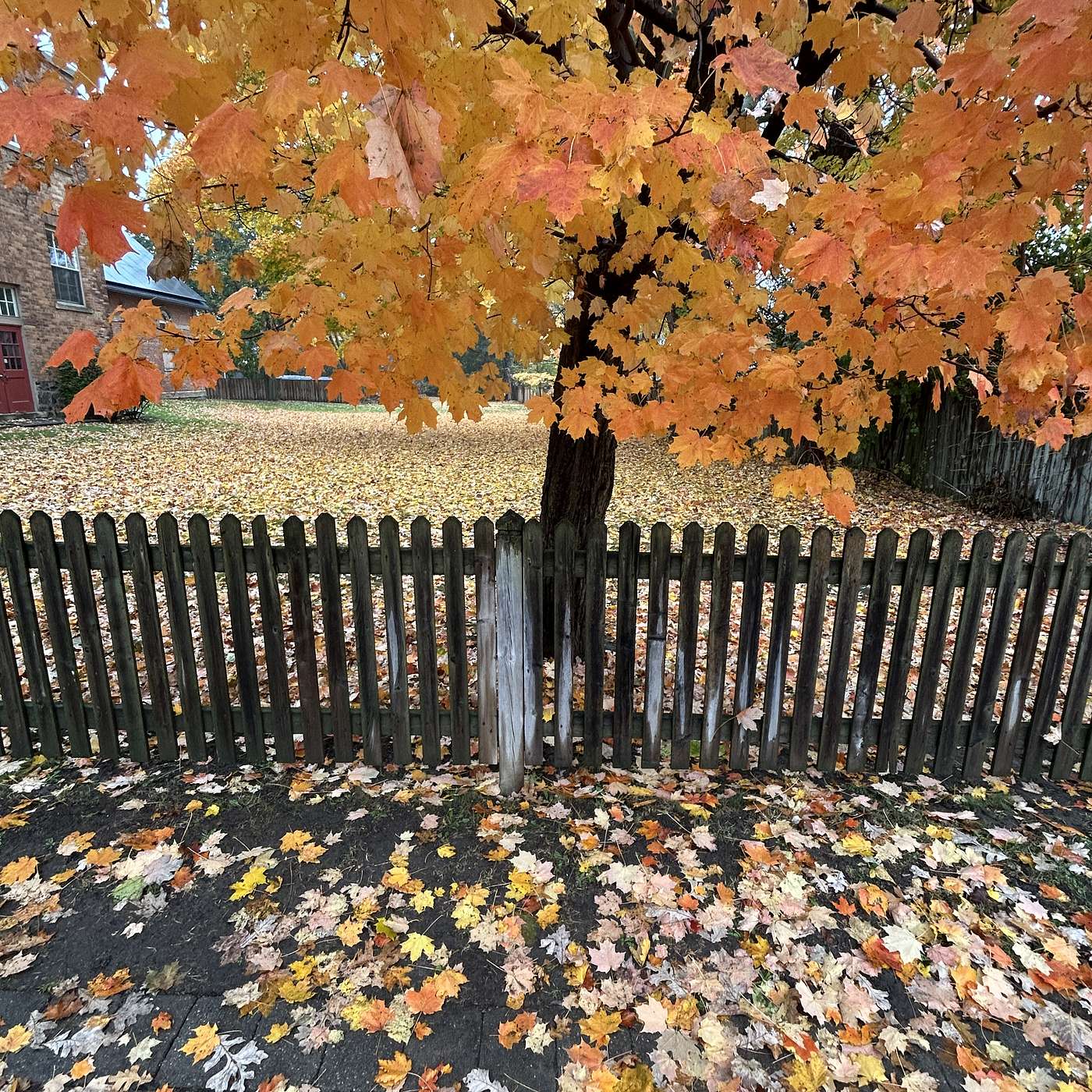 Savoring the Simple Pleasures of Fall