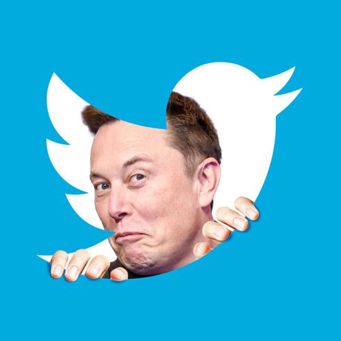 Is Elon Musk Really Threatening Free Speech?